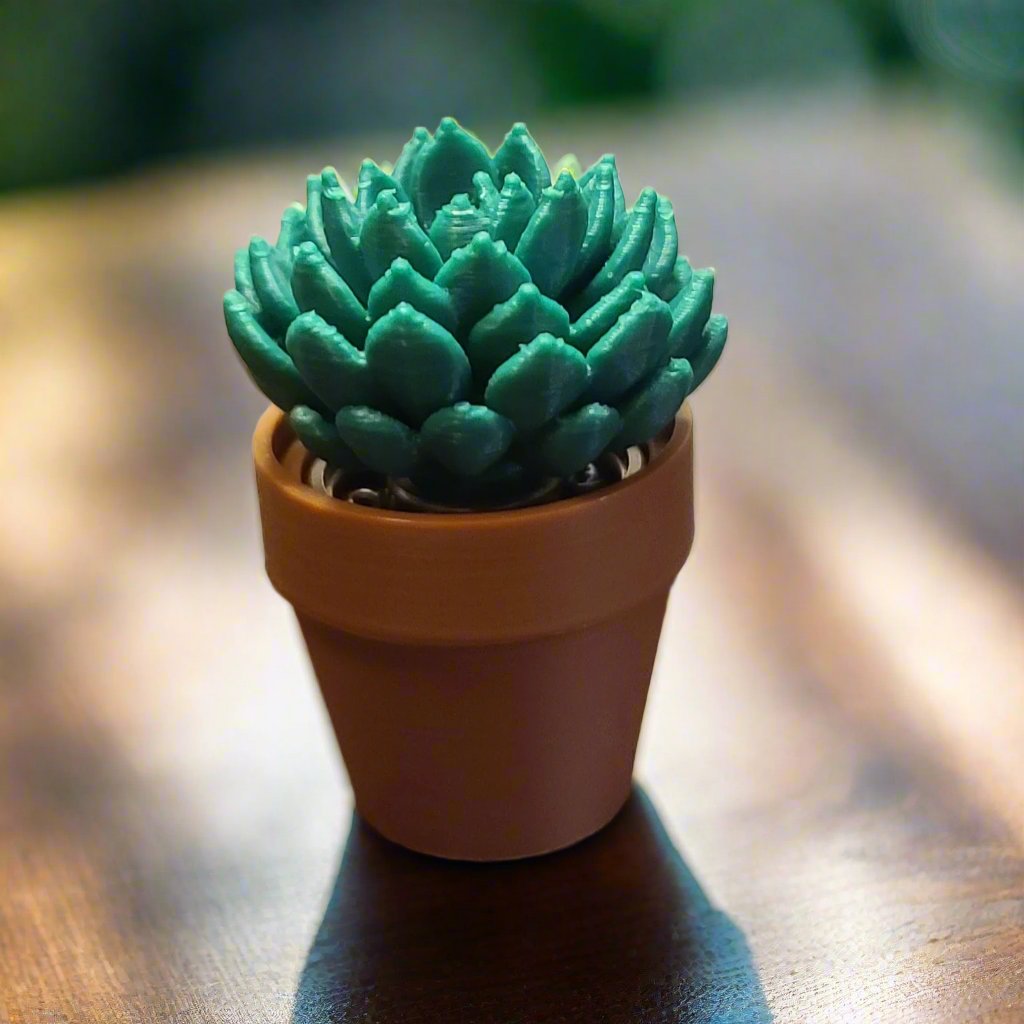 Succulent in clay pot