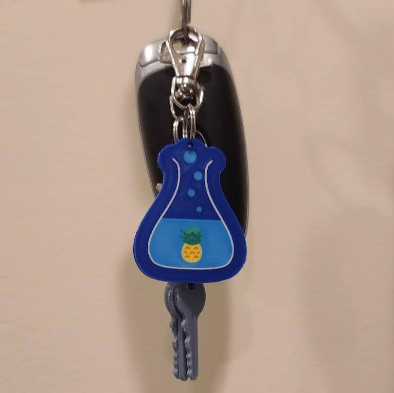 Chuganations keychain on keys