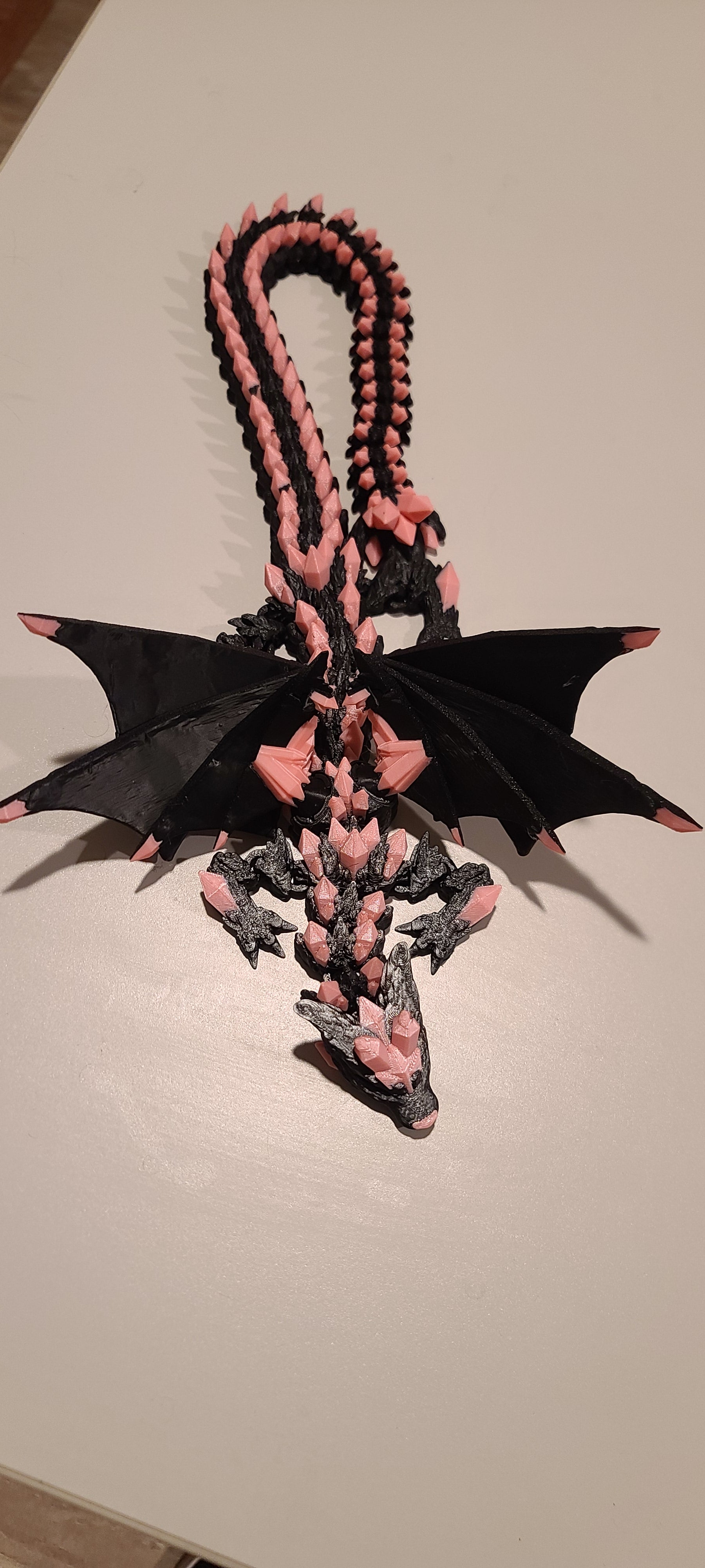 Peach and black dragon on a white background. Front view panned out slightly more.