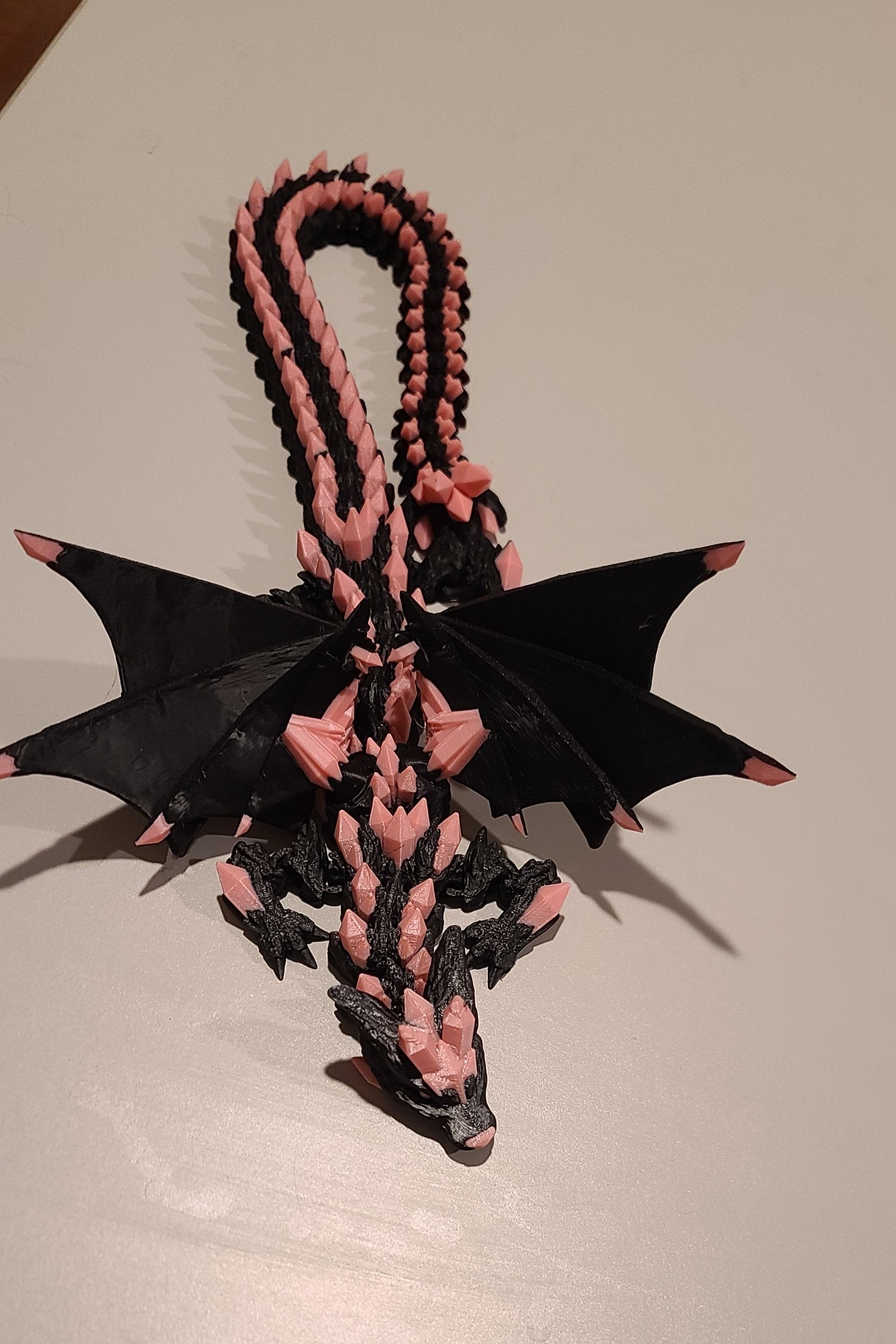 Peach and black dragon on a white background. Front view panned out slightly.