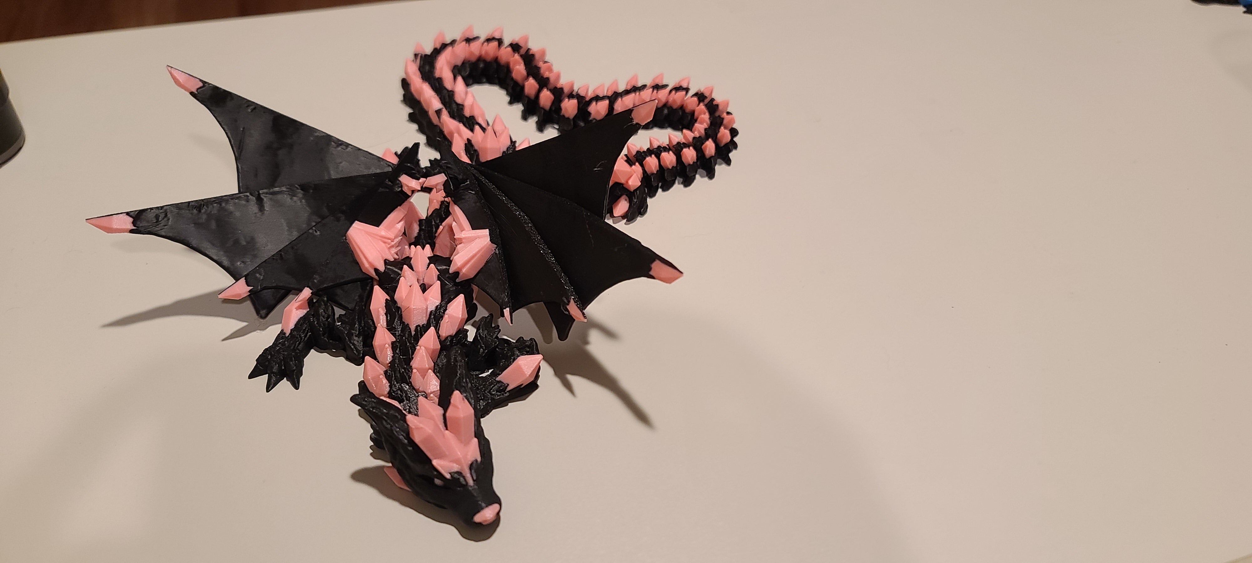 Peach and black dragon on a white background. Front view.
