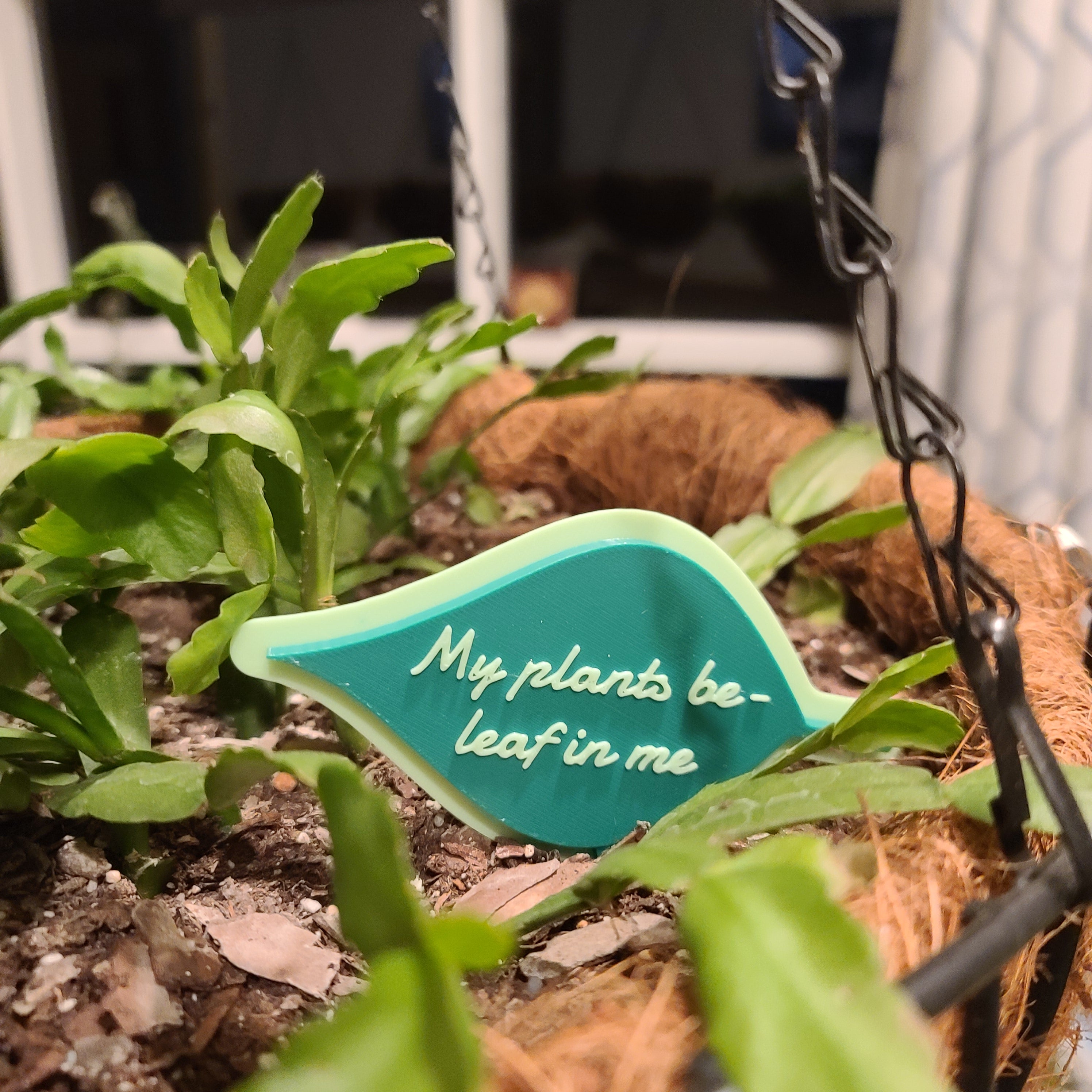 hanging pot with soil and a christmas cactus growing in the soil. There is a stake in the shape of a leaf with the text 'My plants be-leaf in me'