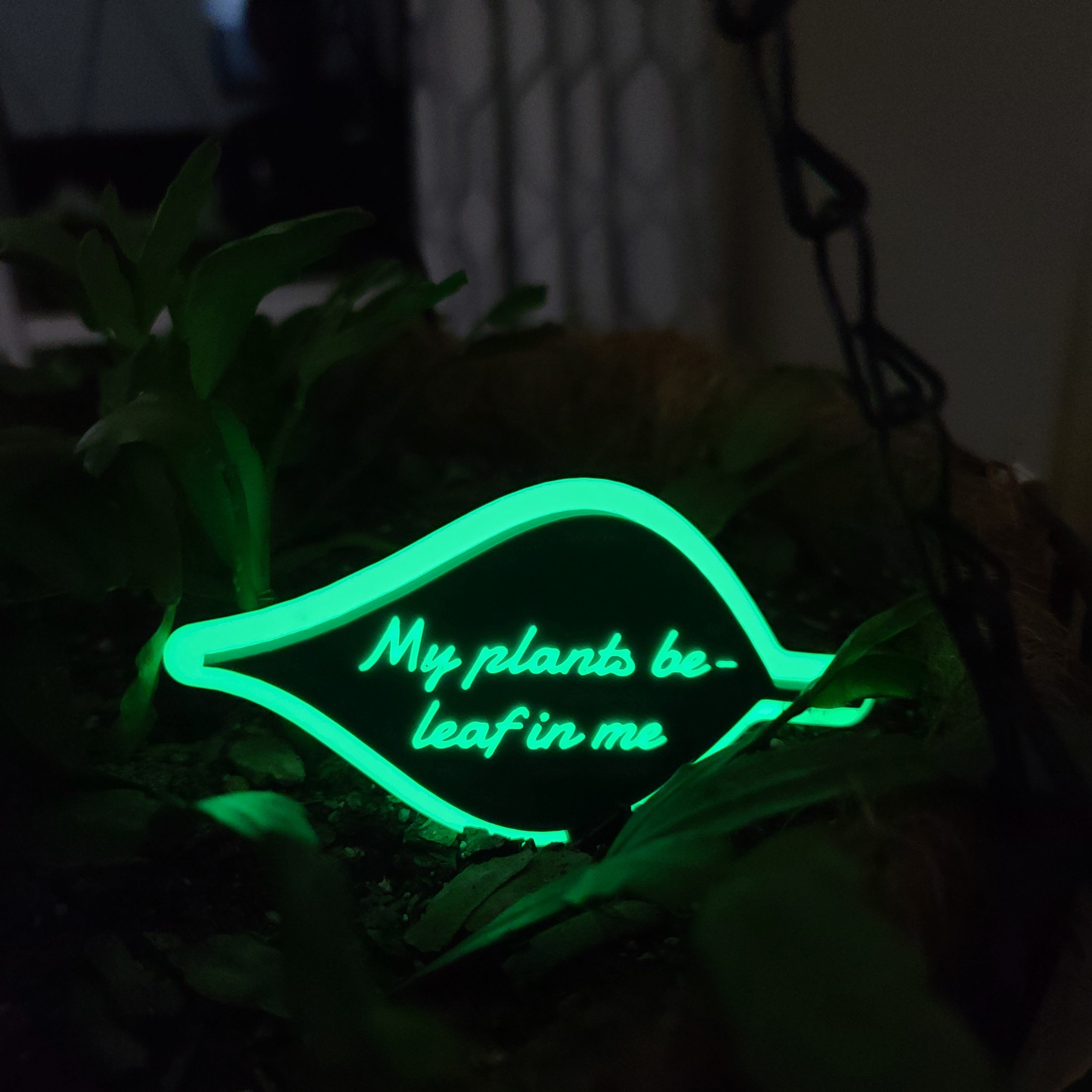 hanging pot with soil and a christmas cactus growing in the soil. There is a stake in the shape of a leaf with the text 'My plants be-leaf in me' The ring around the leaf and the text are glowing with a soft green glow.