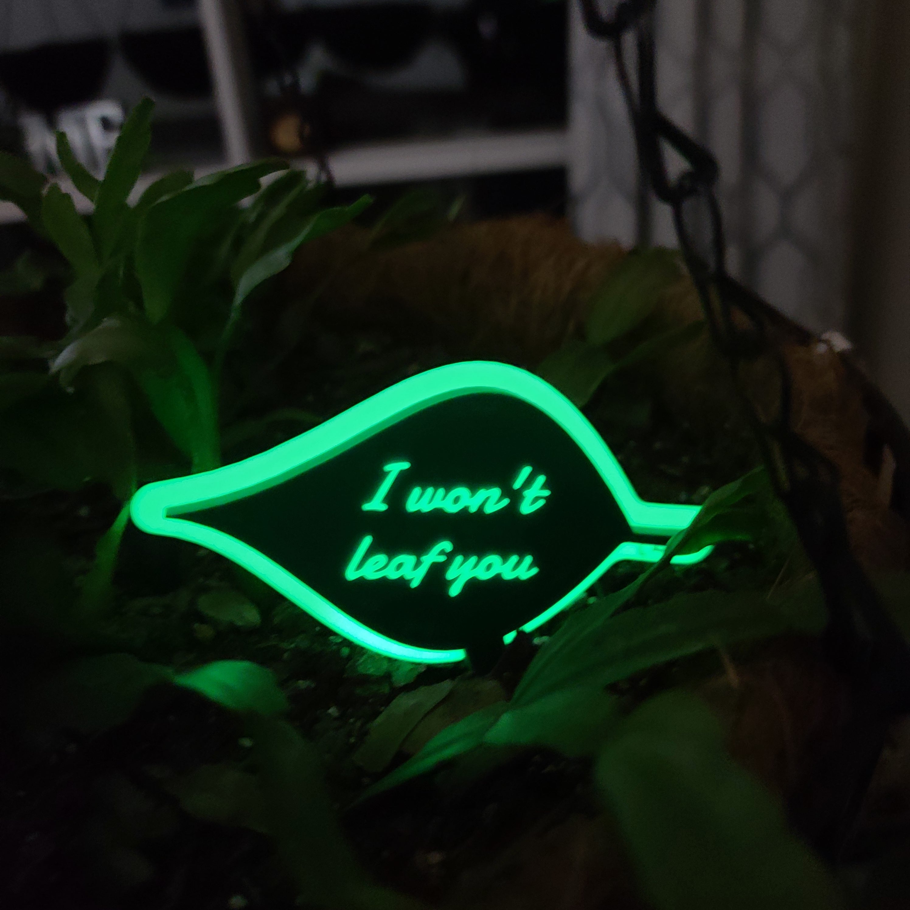 There is a hanging pot full of soil with a Christmas cactus growing in the soil. there is a stake in the soil in the shape of a leaf with the text 'I won't leaf you' in the middle. The ring around the leaf and the text are both glowing green.