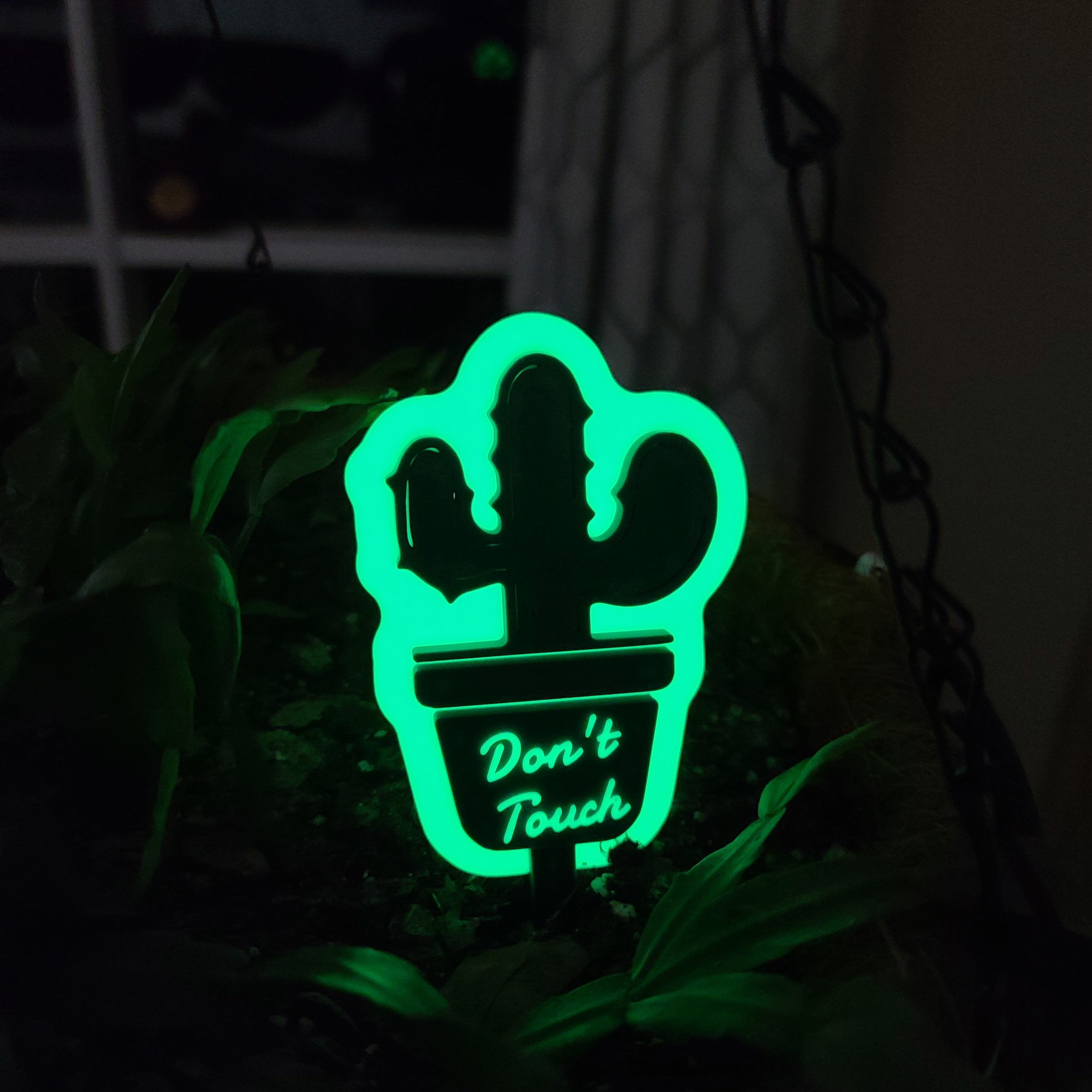 There is a hanging pot full of soil with a Christmas cactus growing in the soil. there is a stake in the soil in the shape of a cactus with the text 'Don't Touch' on it. The ring around the cactus and the text are glowing with a soft green glow.