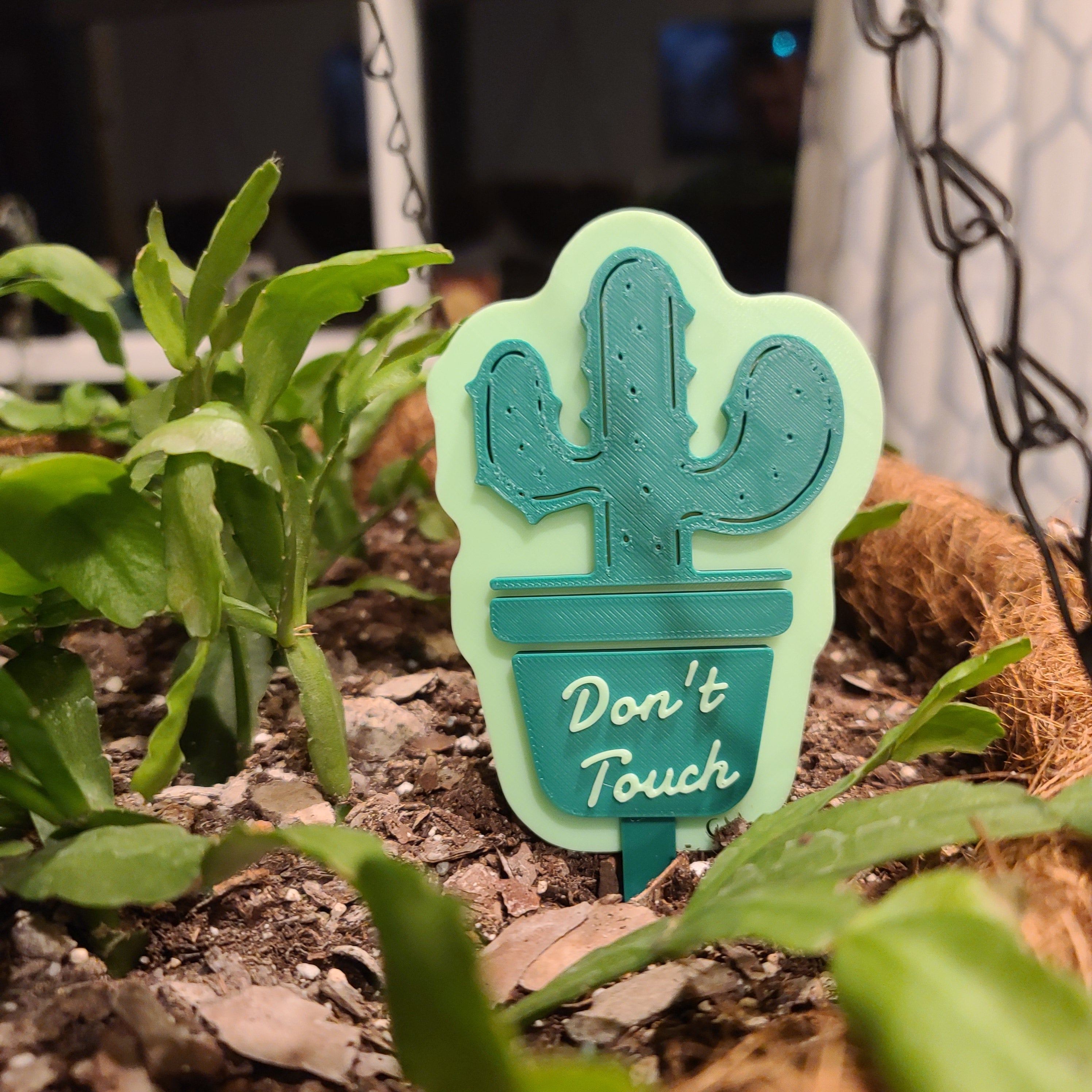 There is a hanging pot full of soil with a Christmas cactus growing in the soil. there is a stake in the soil in the shape of a cactus with the text 'Don't Touch' on it.