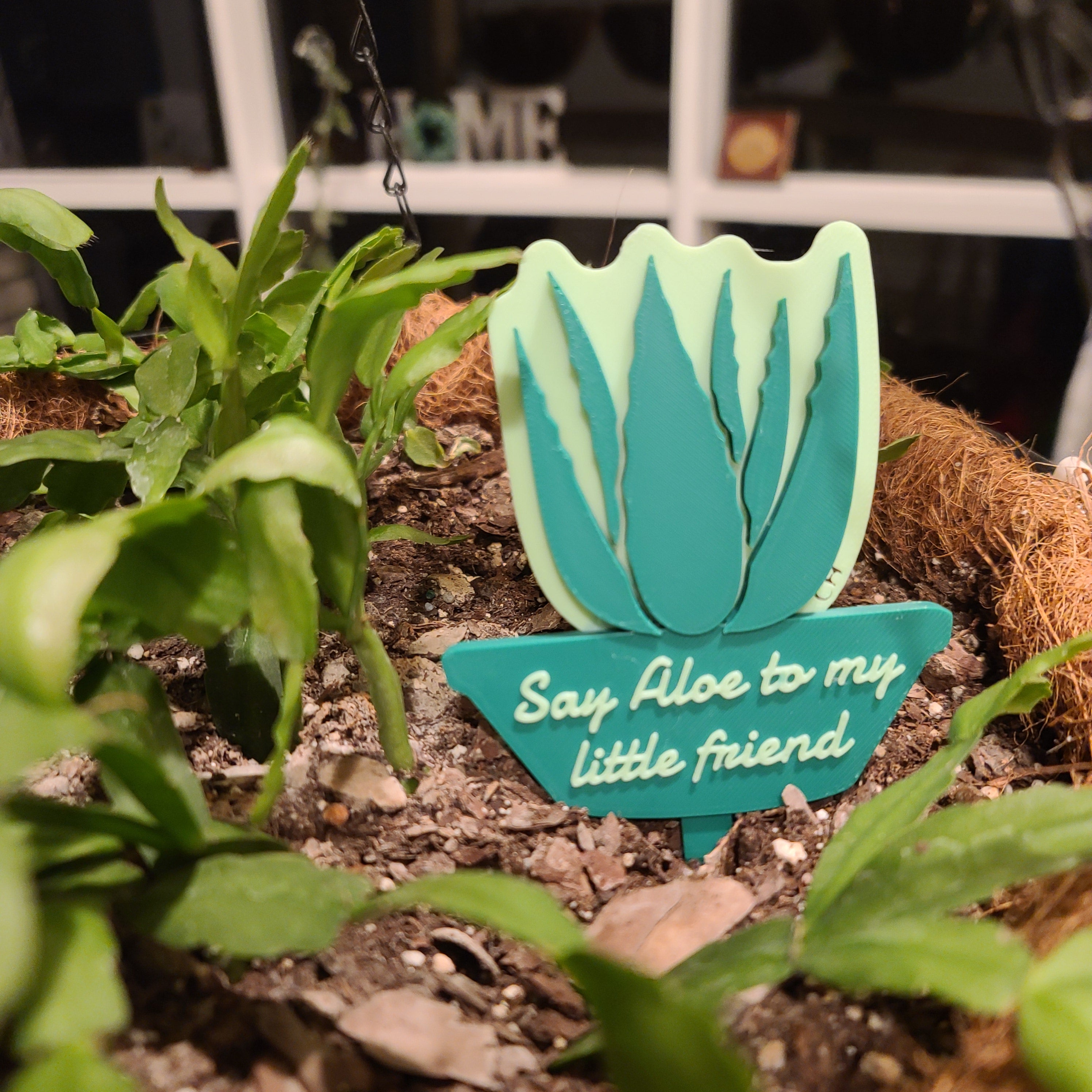 There is a hanging pot full of soil with a Christmas cactus growing in the soil. there is a stake in the soil in the shape of an aloe plant with the text 'Say Aloe to my little friend' in the middle of the pot.