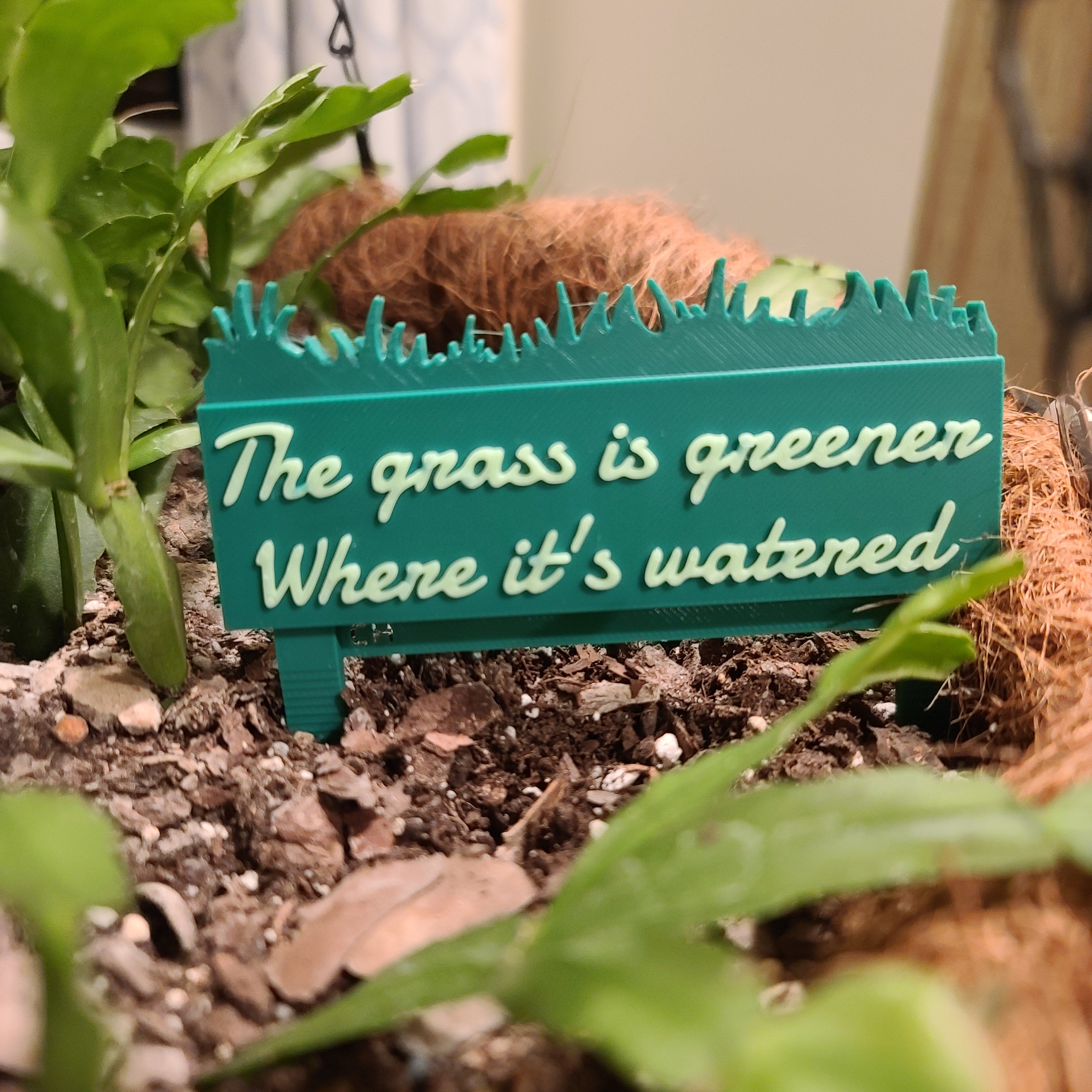 There is a hanging pot full of soil with a Christmas cactus growing in the soil. there is a stake in the soil in the shape of a grass patch with the text 'The grass is greener where it's watered' on it.