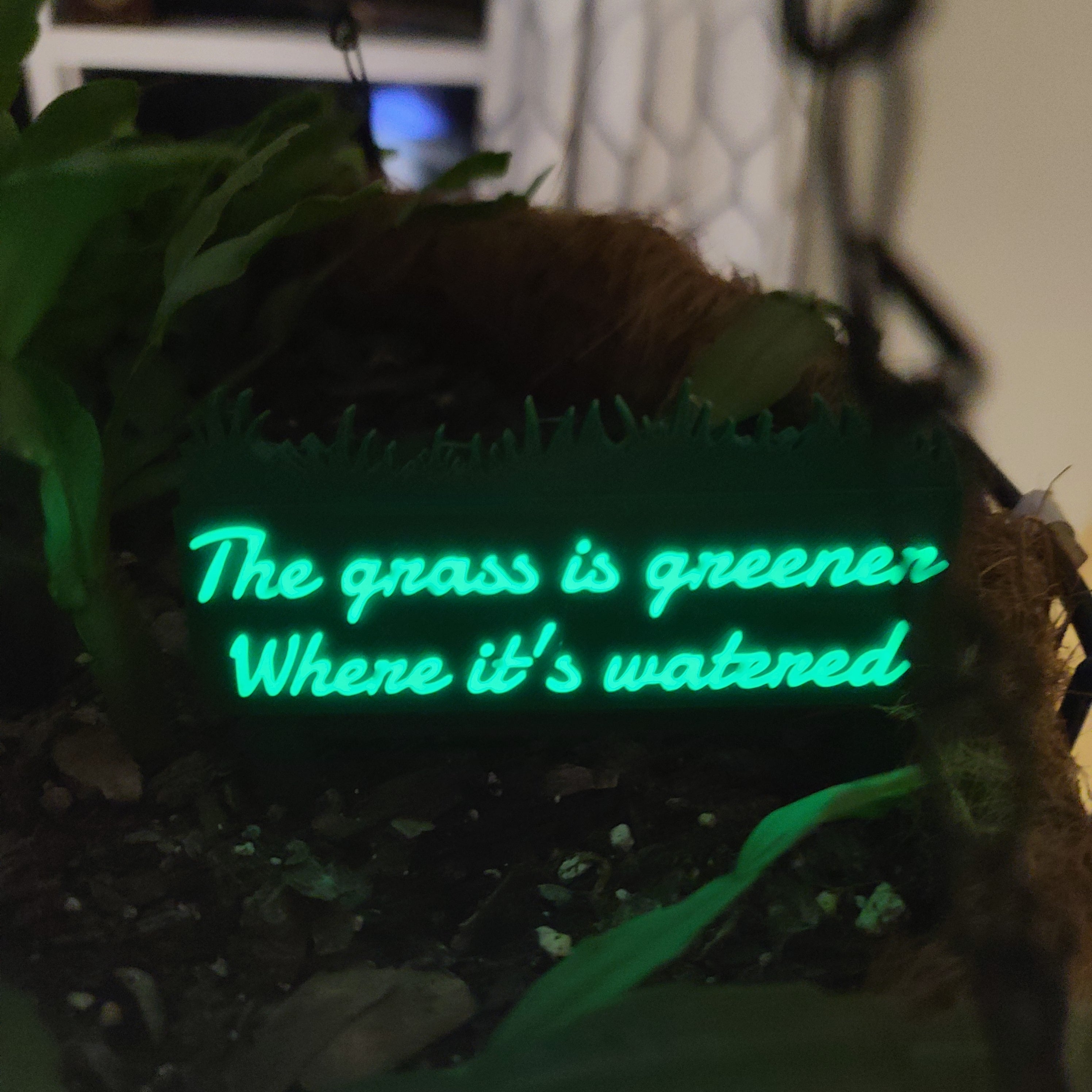 There is a hanging pot full of soil with a Christmas cactus growing in the soil. there is a stake in the soil in the shape of a grass patch with the text 'The grass is greener where it's watered' on it. The text is glowing with a soft green glow.