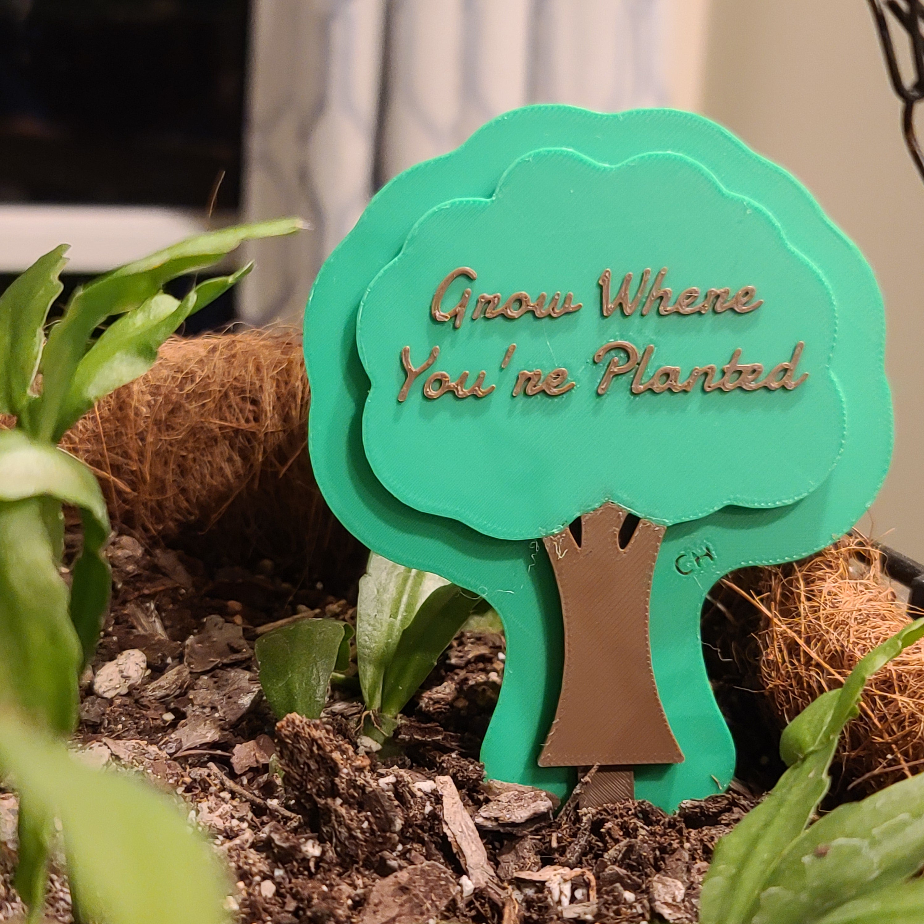There is a hanging pot full of soil with a Christmas cactus growing in the soil. there is a stake in the soil in the shape of a tree with leaves with the text 'Grow Where You're Planted' on the leaves.