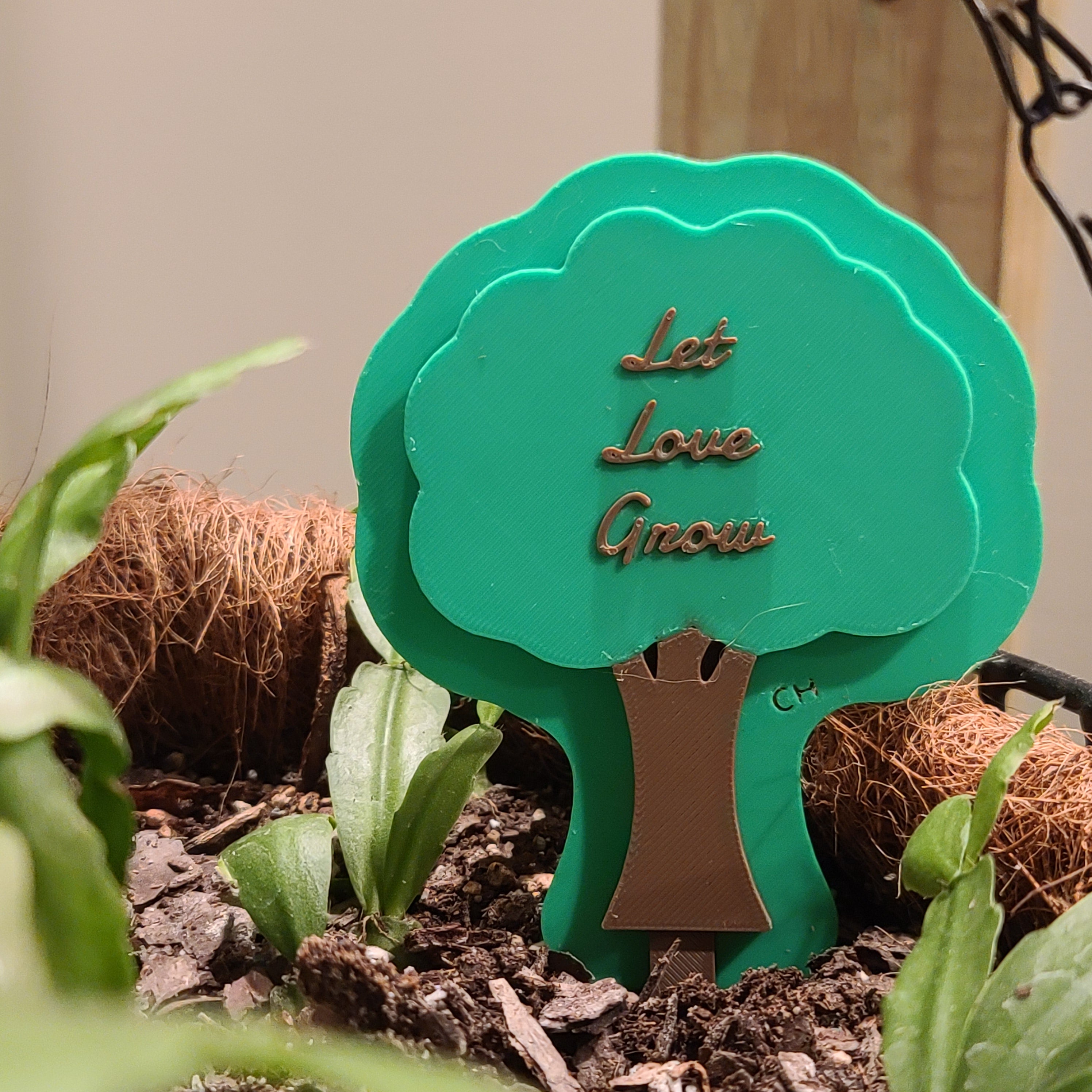 There is a hanging pot full of soil with a Christmas cactus growing in the soil. there is a stake in the soil in the shape of a tree with leaves with the text 'Let Love Grow' on the leaves.
