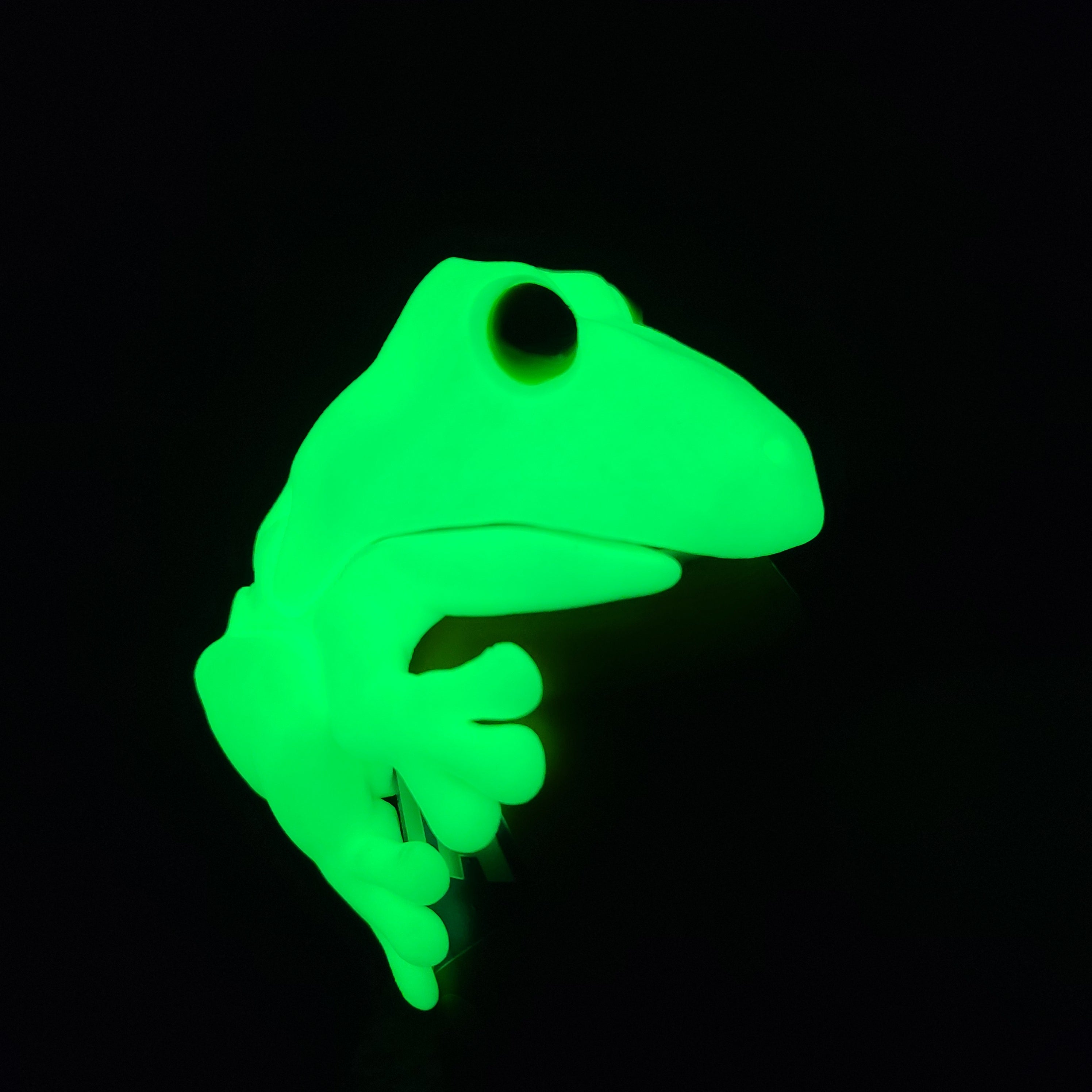 Fizzy Frog Lid - Guardian of the Soda.