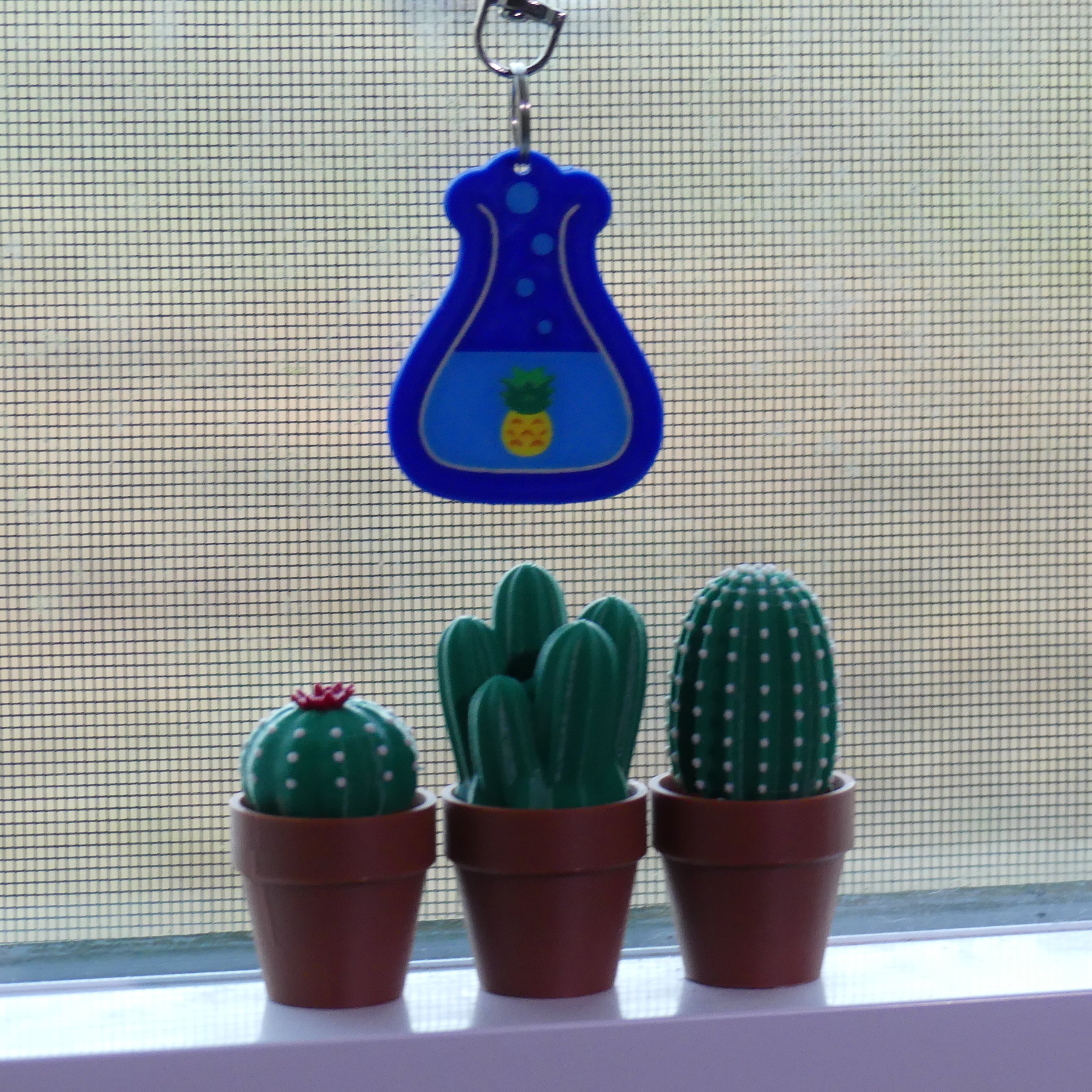 Cacti in clay pots against windowsill
