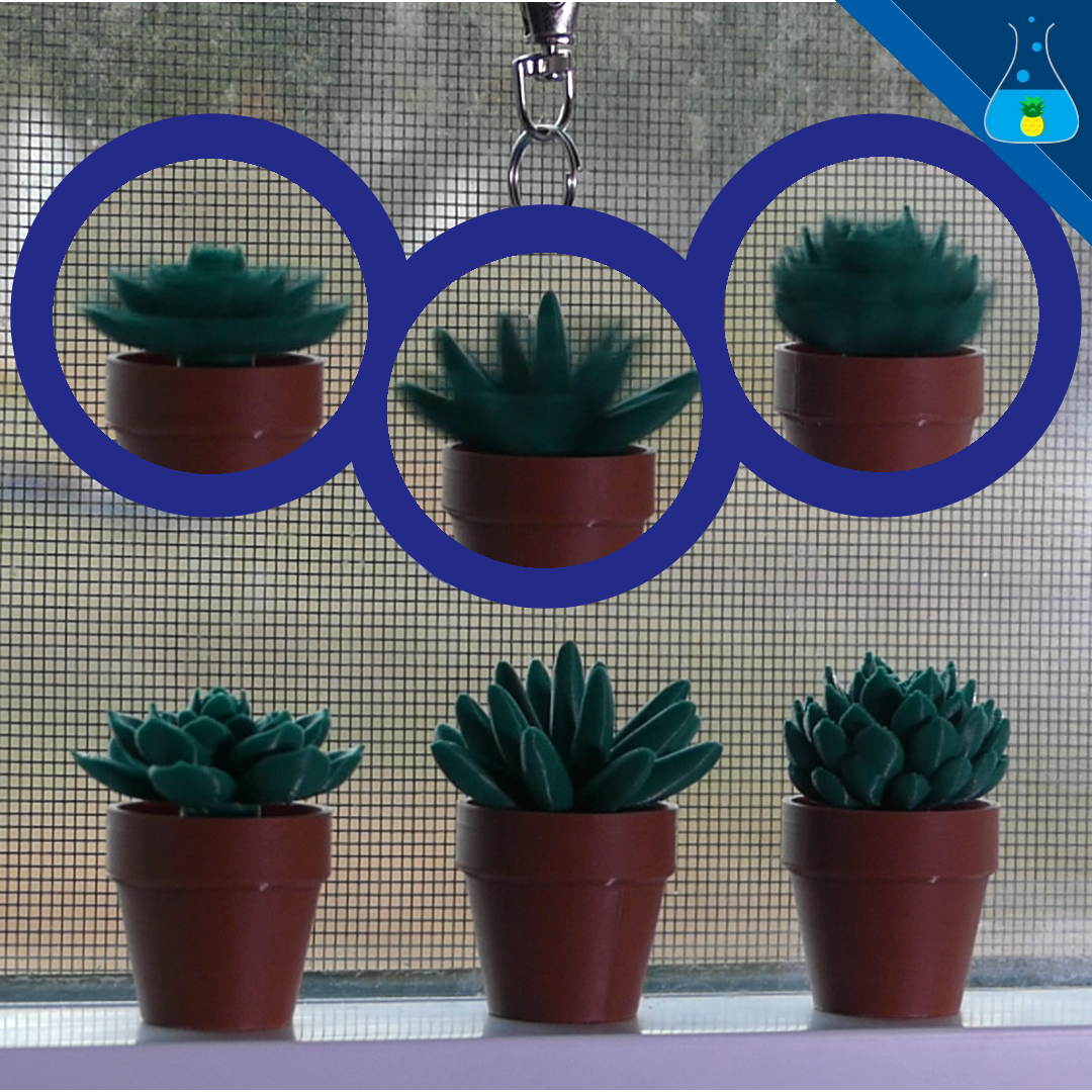 Three succulents in clay pots. There is an image above each plant showing motion blur.