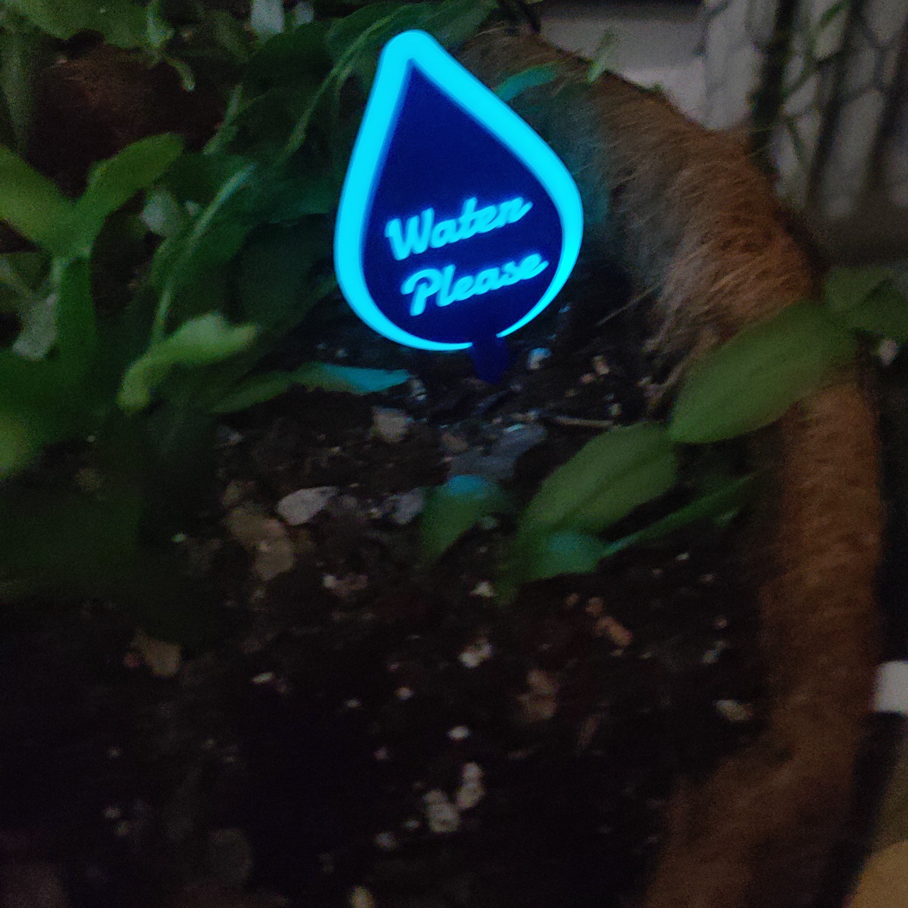 There is a hanging pot full of soil with a Christmas cactus growing in the soil. there is a stake in the soil in the shape of a water drop with the text 'Water Please' in the middle. The ring around the droplet and the text are both softly glowing blue.