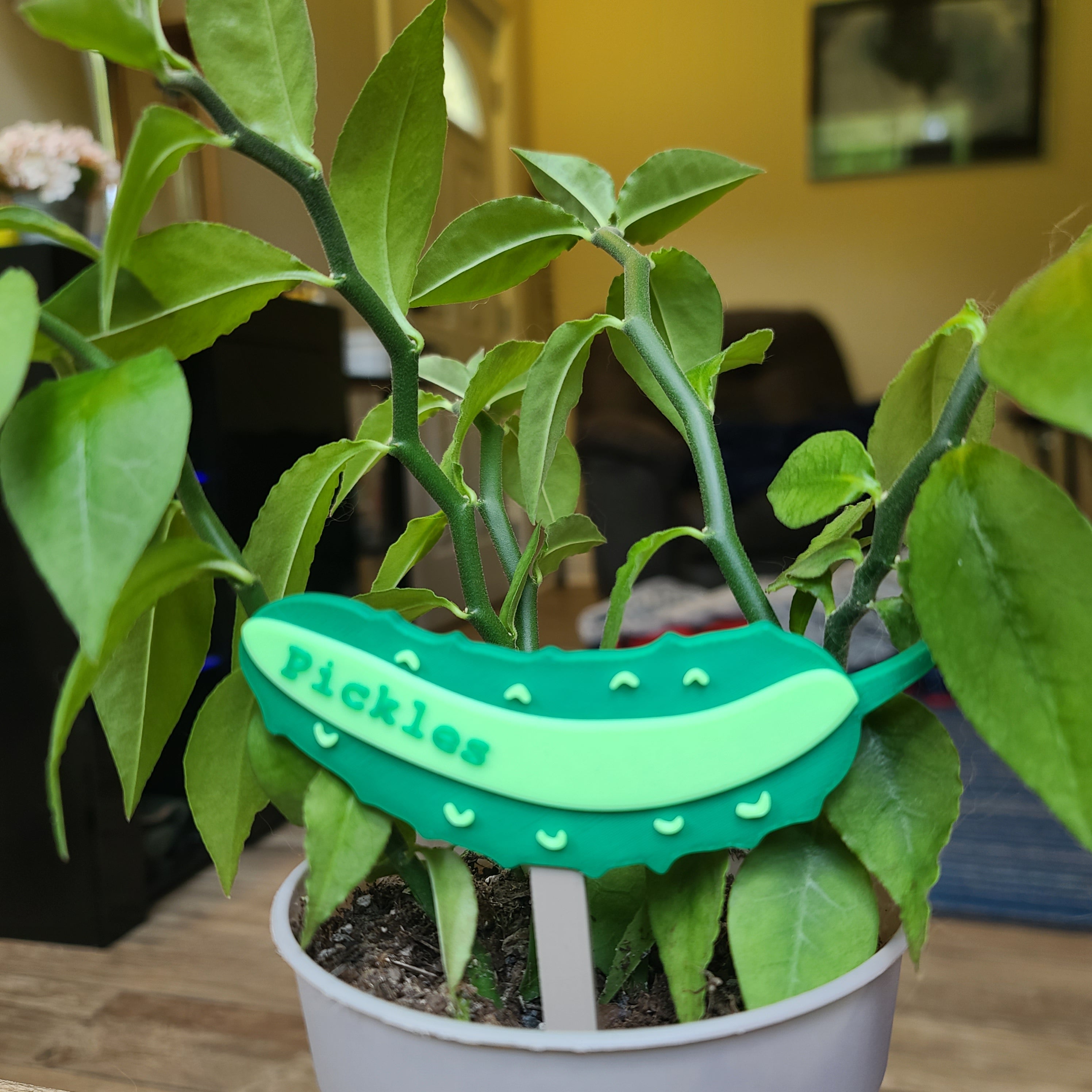 Cucumber Toppers - G2 Compatible Toppers
