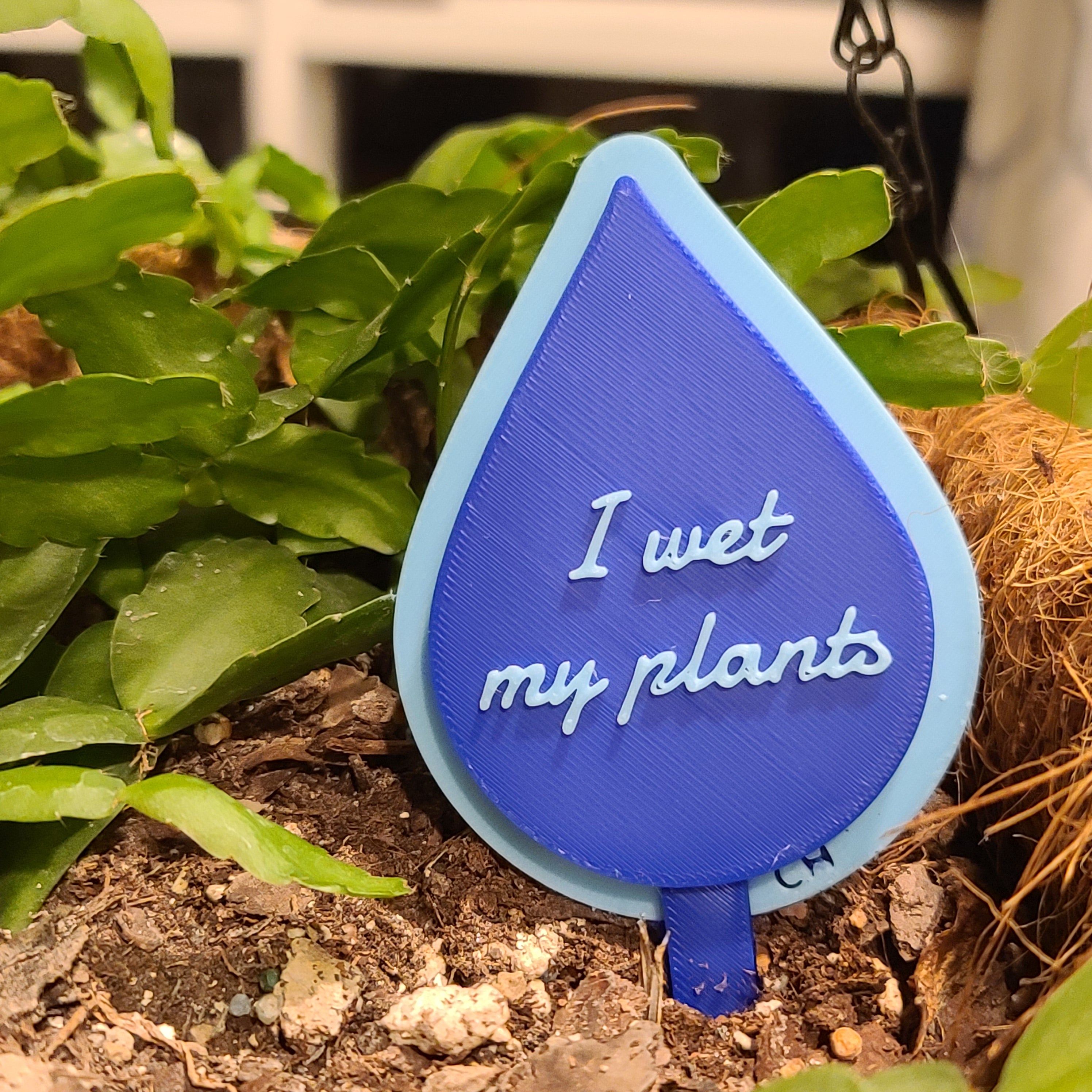 There is a hanging pot full of soil with a Christmas cactus growing in the soil. there is a stake in the soil in the shape of a water drop with the text 'I wet my plants' in the middle.
