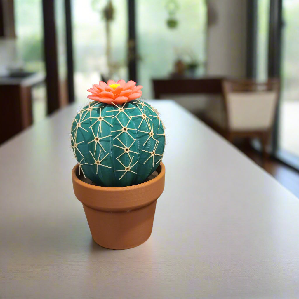 Cactus with spines in a pot on a countertop in a kitchen