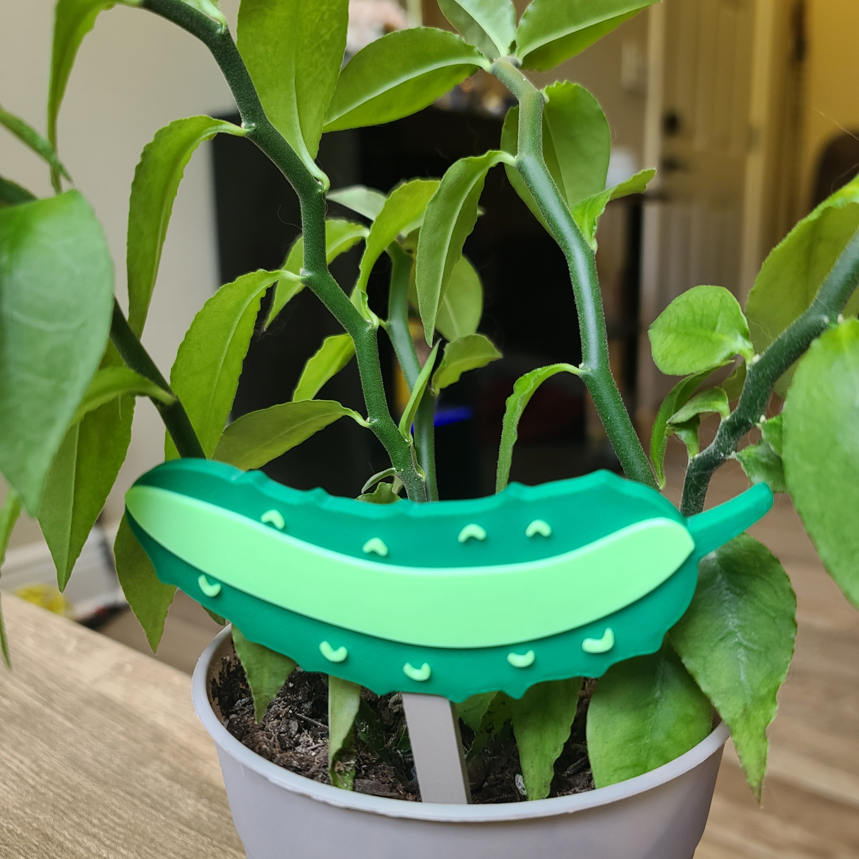 Cucumber Toppers - G2 Compatible Toppers