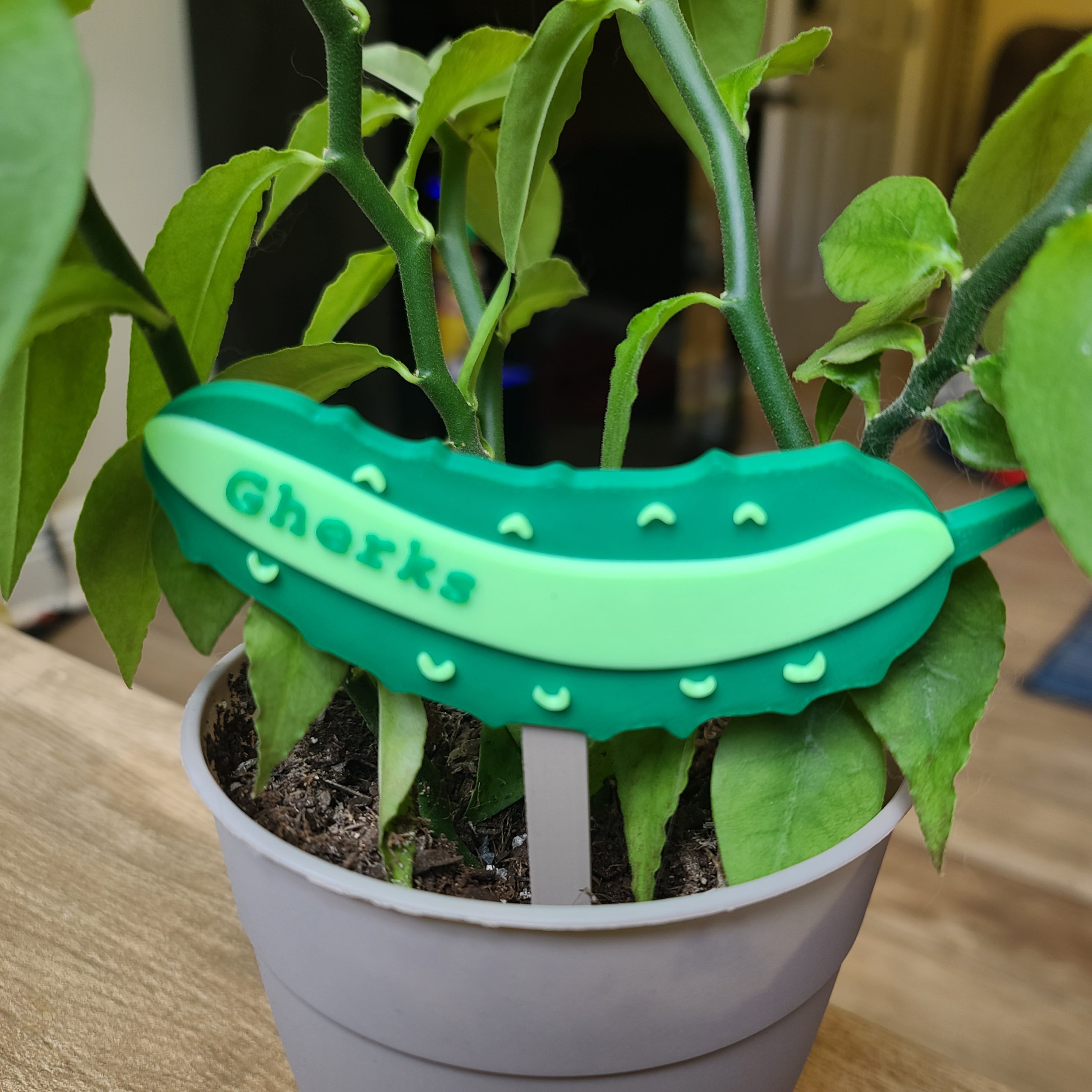 Cucumber Toppers - G2 Compatible Toppers