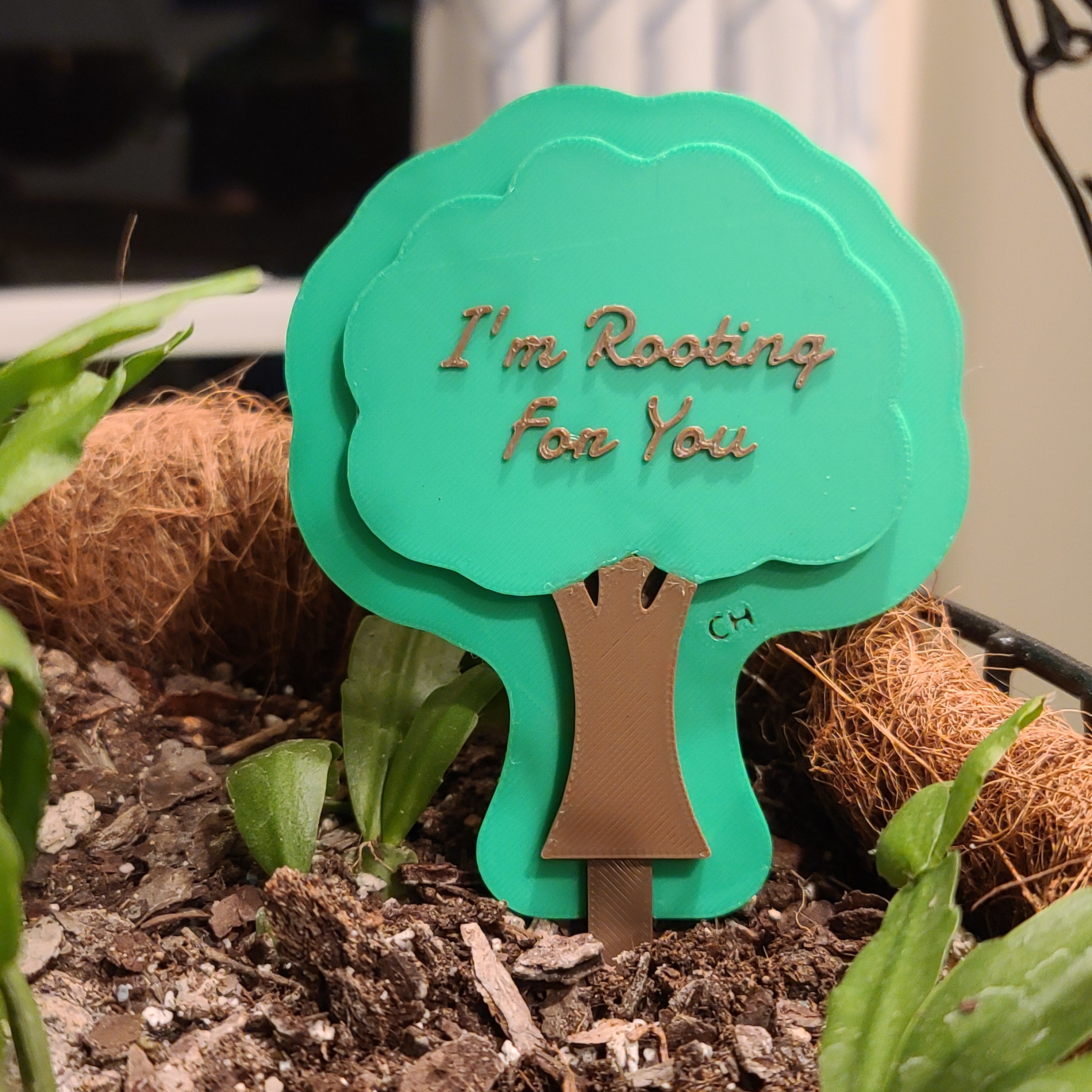 There is a hanging pot full of soil with a Christmas cactus growing in the soil. there is a stake in the soil in the shape of a tree with leaves with the text 'I'm Rooting For You' in the leaves.