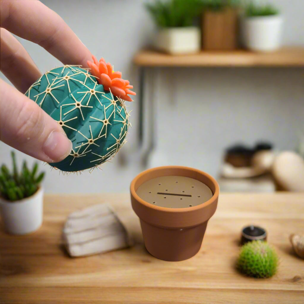 hand holding a cactus with red flower and a pot in the background