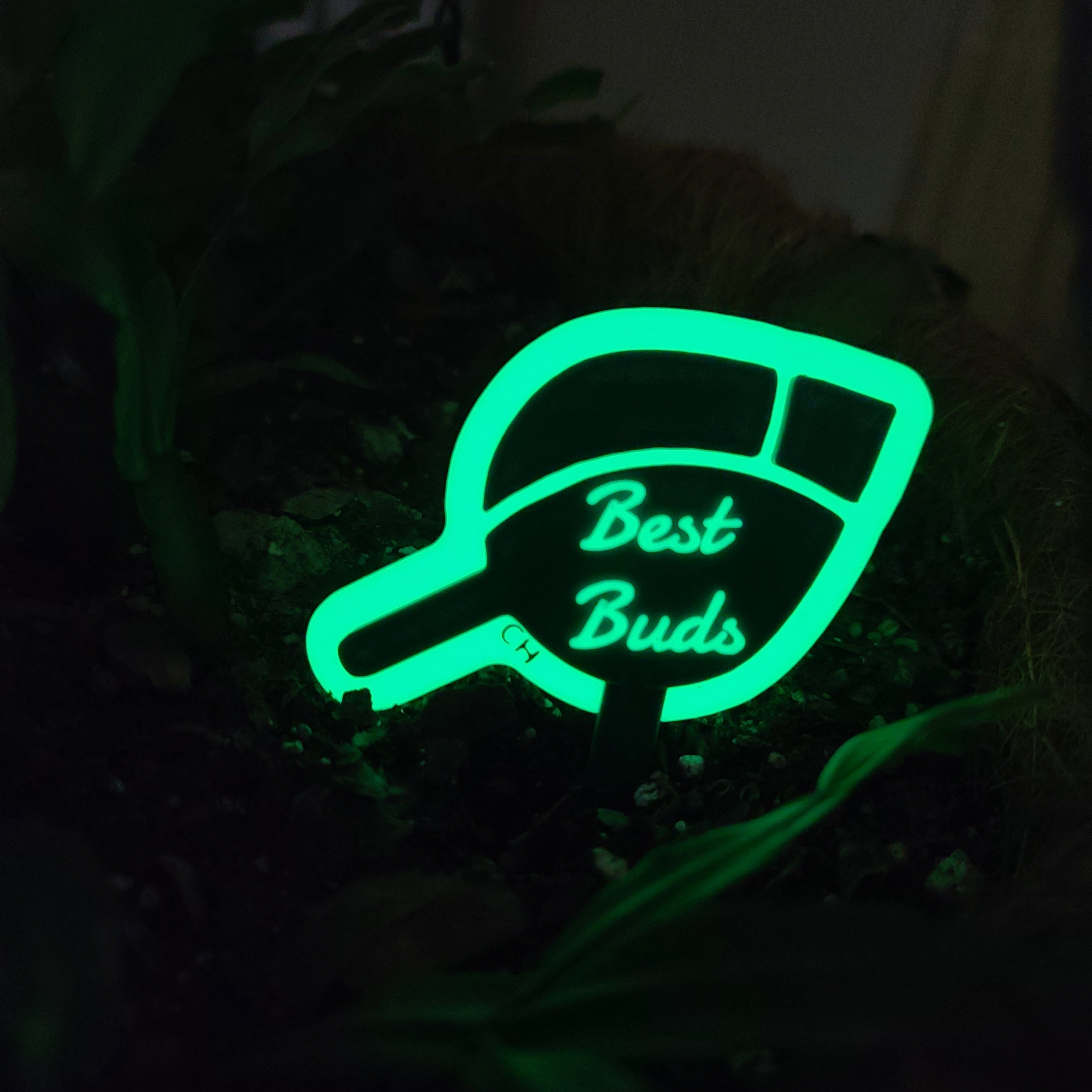 There is a hanging pot full of soil with a Christmas cactus growing in the soil. there is a stake in the soil in the shape of a plant bud with the text 'Best Buds' on it. The ring around the bud and the text are glowing with a soft green glow.