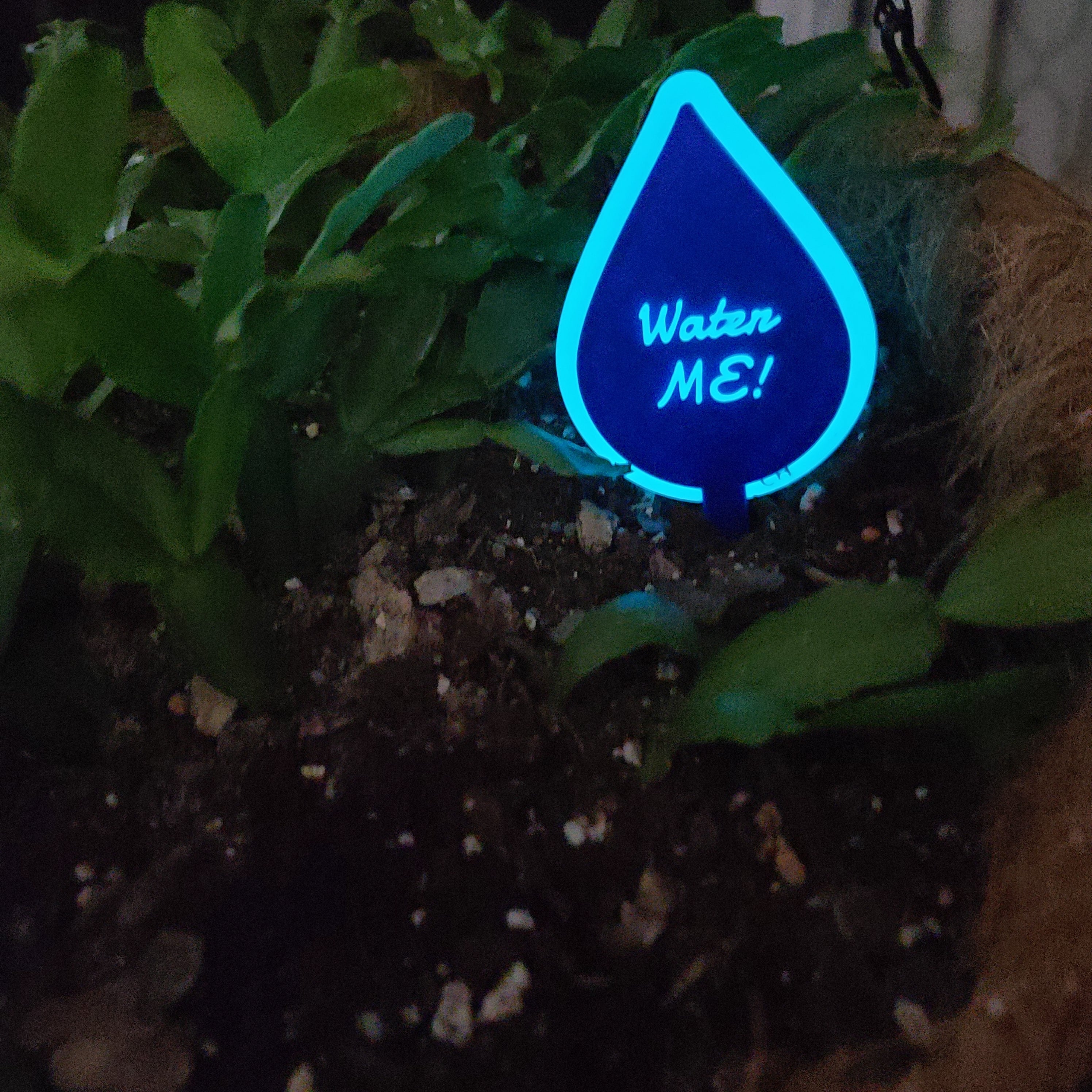 There is a hanging pot full of soil with a Christmas cactus growing in the soil. there is a stake in the soil in the shape of a water drop with the text 'Water ME!' in the middle. The ring around the droplet and the text are both softly glowing blue.