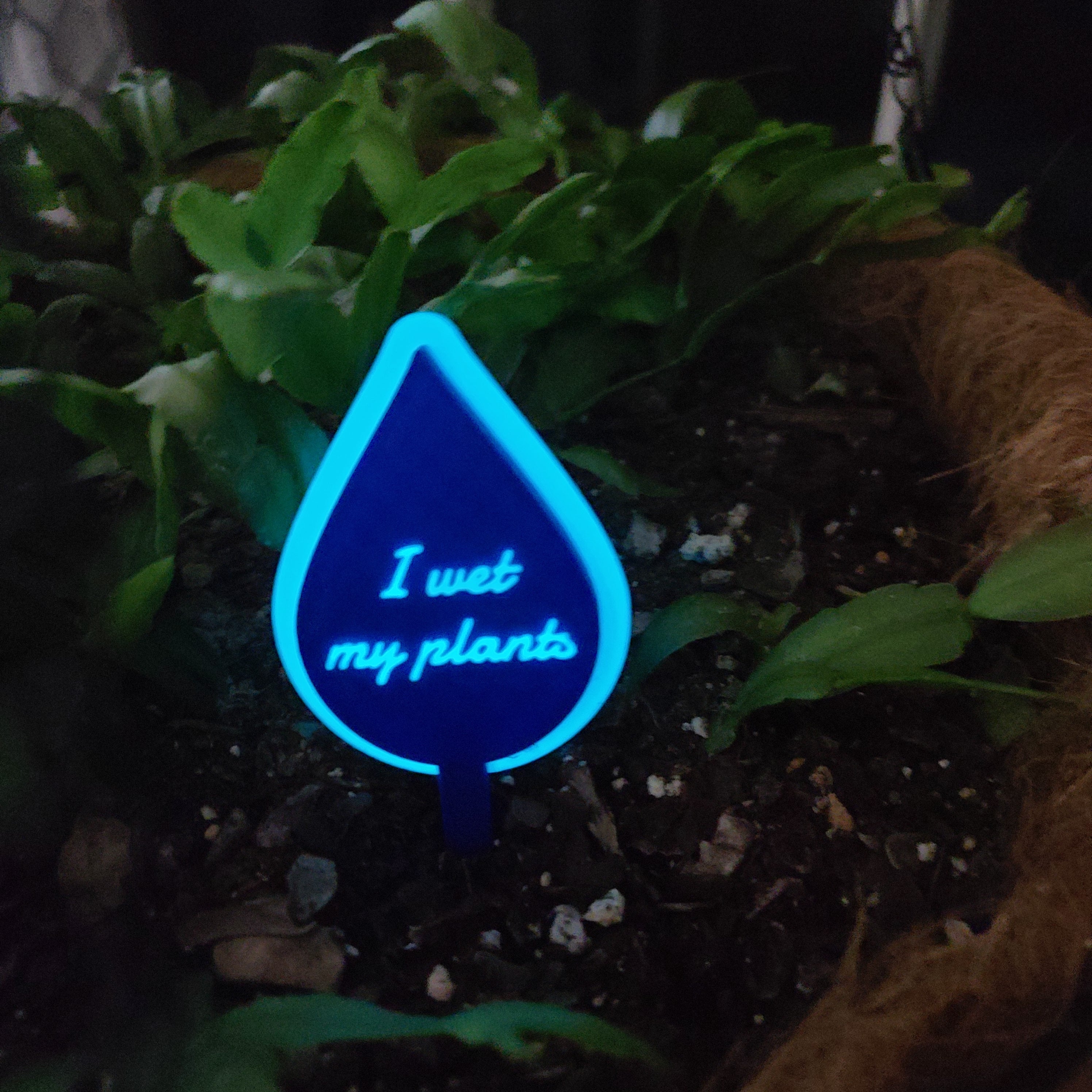There is a hanging pot full of soil with a Christmas cactus growing in the soil. there is a stake in the soil in the shape of a water drop with the text 'I wet my plants' in the middle. The ring around the droplet and the text are glowing blue.