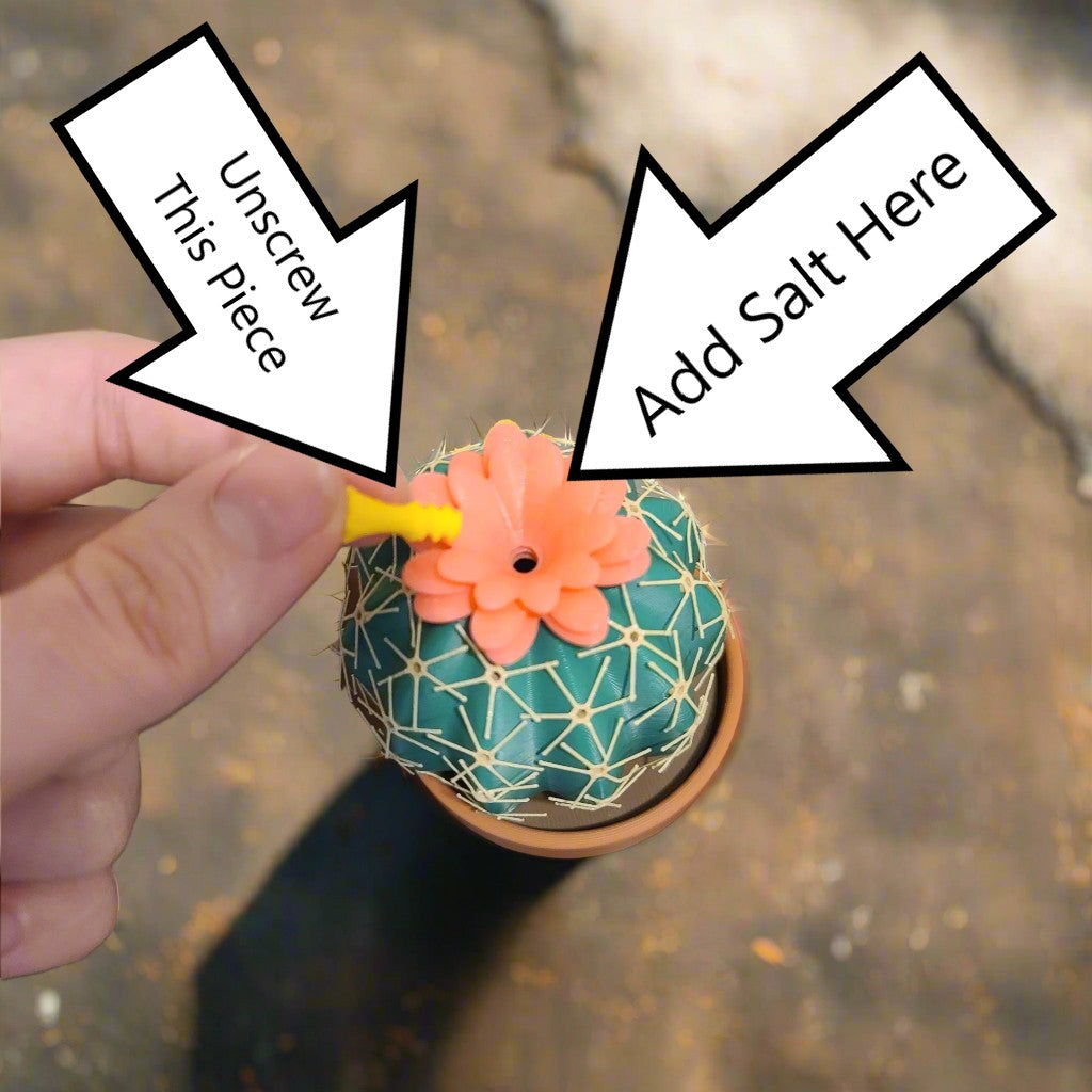 green cactus with pink flower in a brown pot.