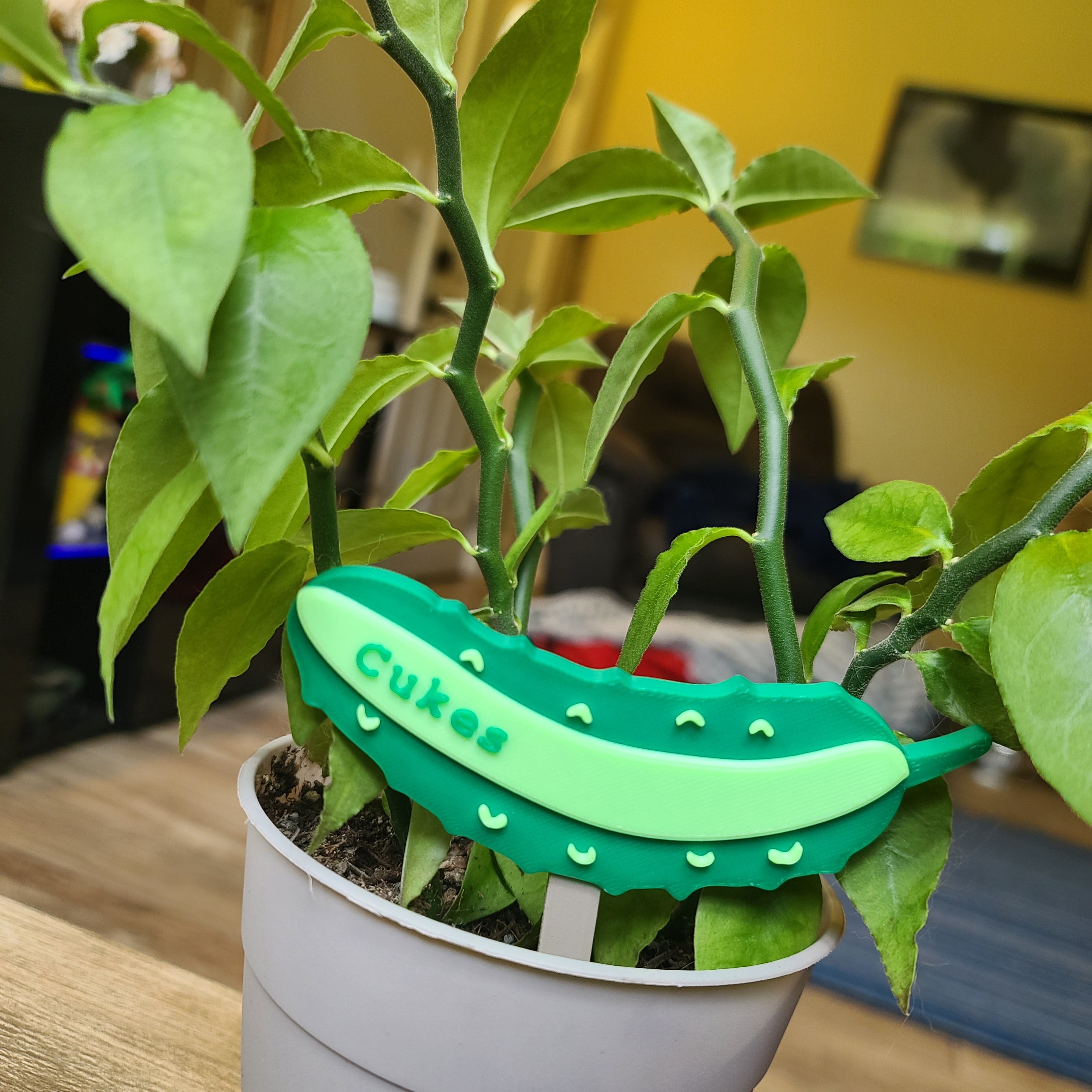 Cucumber Toppers - G2 Compatible Toppers