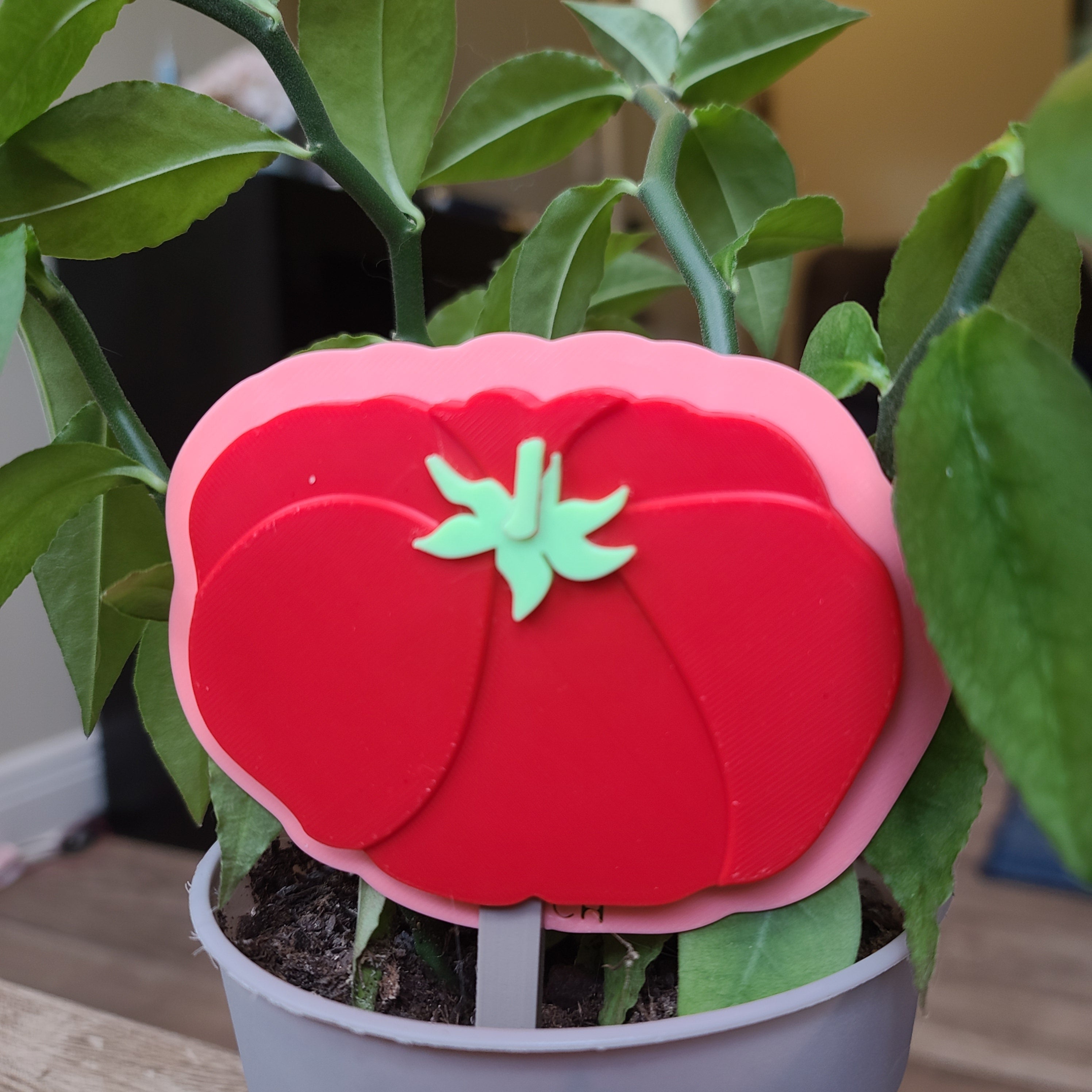 Tomato Toppers - G2 Compatible Toppers