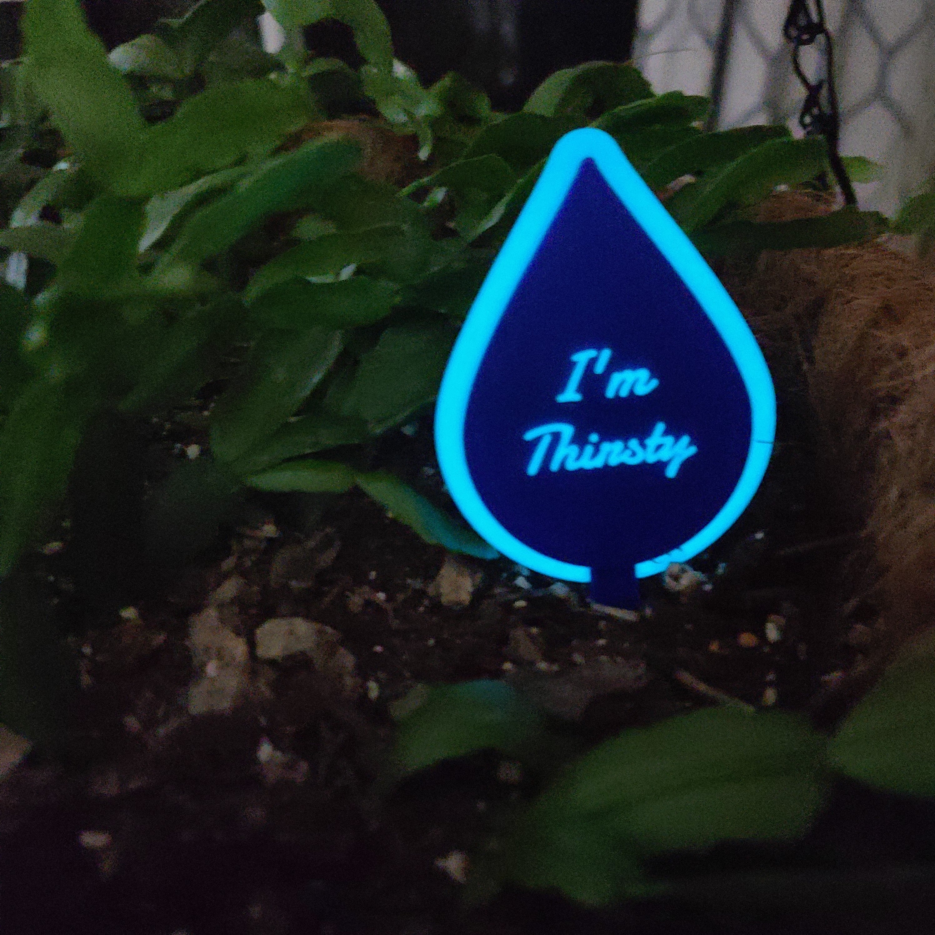 There is a hanging pot full of soil with a Christmas cactus growing in the soil. there is a stake in the soil in the shape of a water drop with the text 'I'm Thirsty' in the middle. The ring around the droplet and the text are emitting a soft blue glow.
