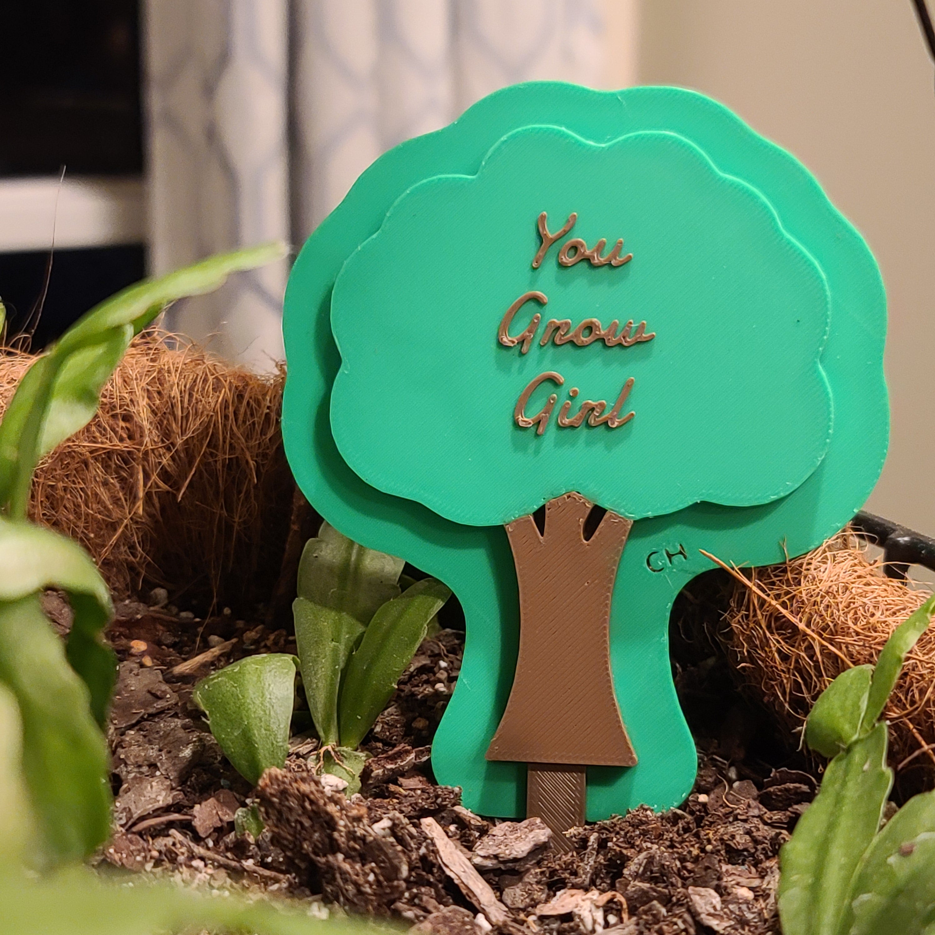 There is a hanging pot full of soil with a Christmas cactus growing in the soil. there is a stake in the soil in the shape of a tree with leaves with the text 'You Grow Girl' in the middle.