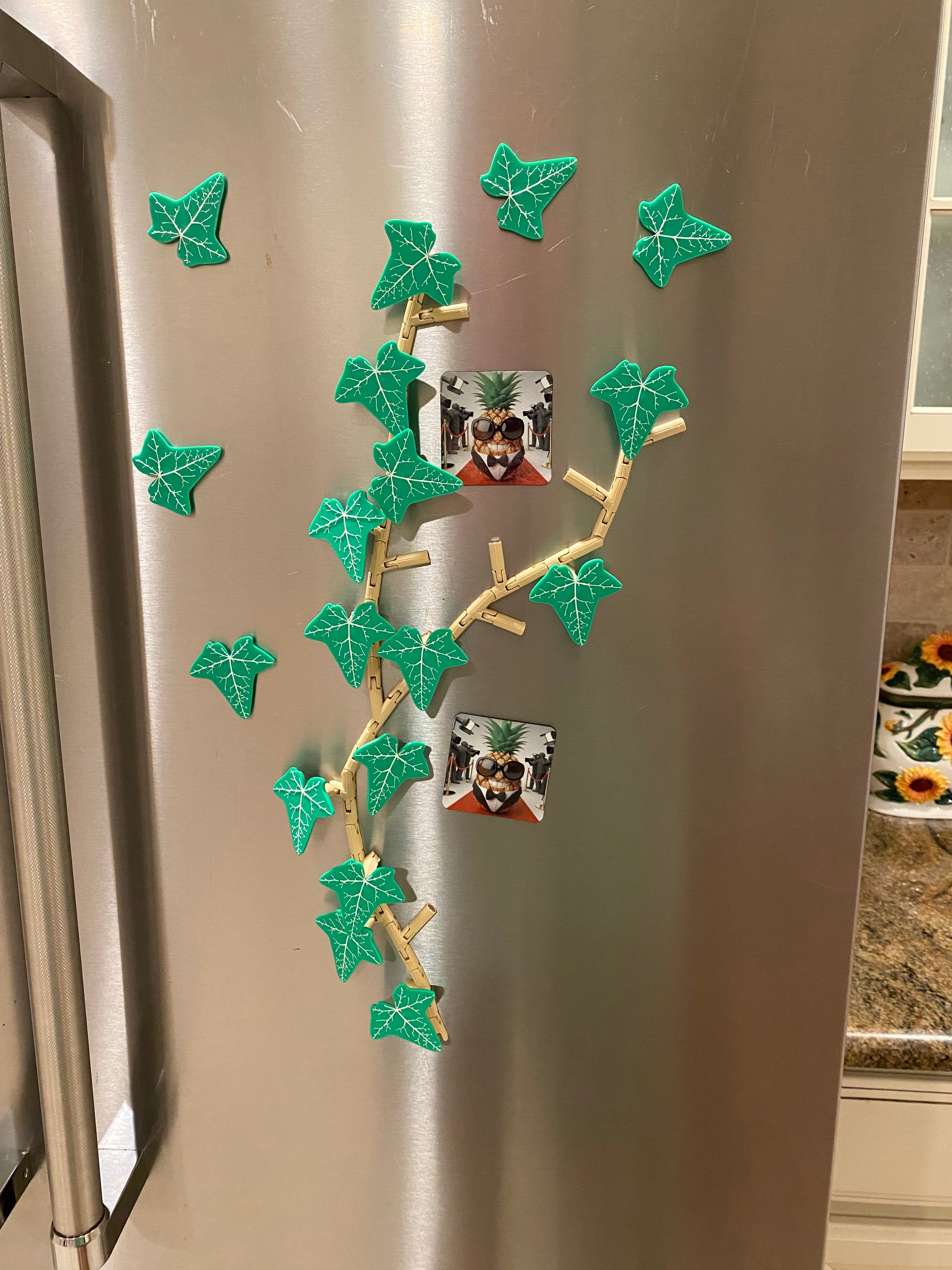 Magnetic Ivy