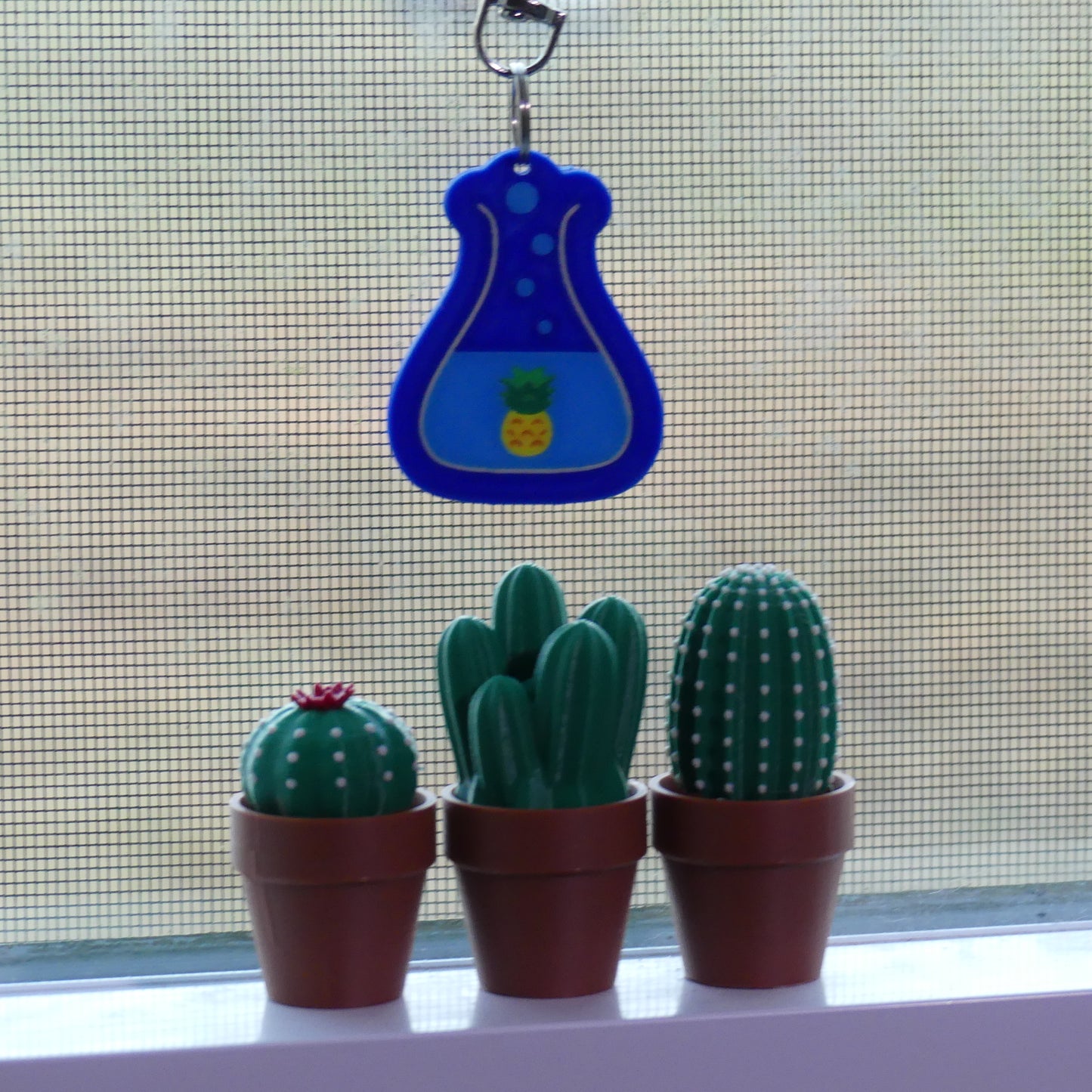 Clicky Cacti Fidgets (Set of 3)