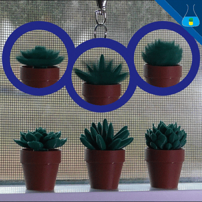 Three succulents in clay pots. There is a video above each plant showing spinning motion. 