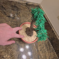 Office Bonsai - 3D Printed Desk Organizer