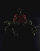 Glow Pump-Kraken 3D Printed Pumpkin Fidget With Tentacles