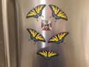 Tiger Swallowtail 3D Printed Butterfly Magnet