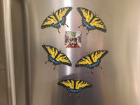 Tiger Swallowtail 3D Printed Butterfly Magnet