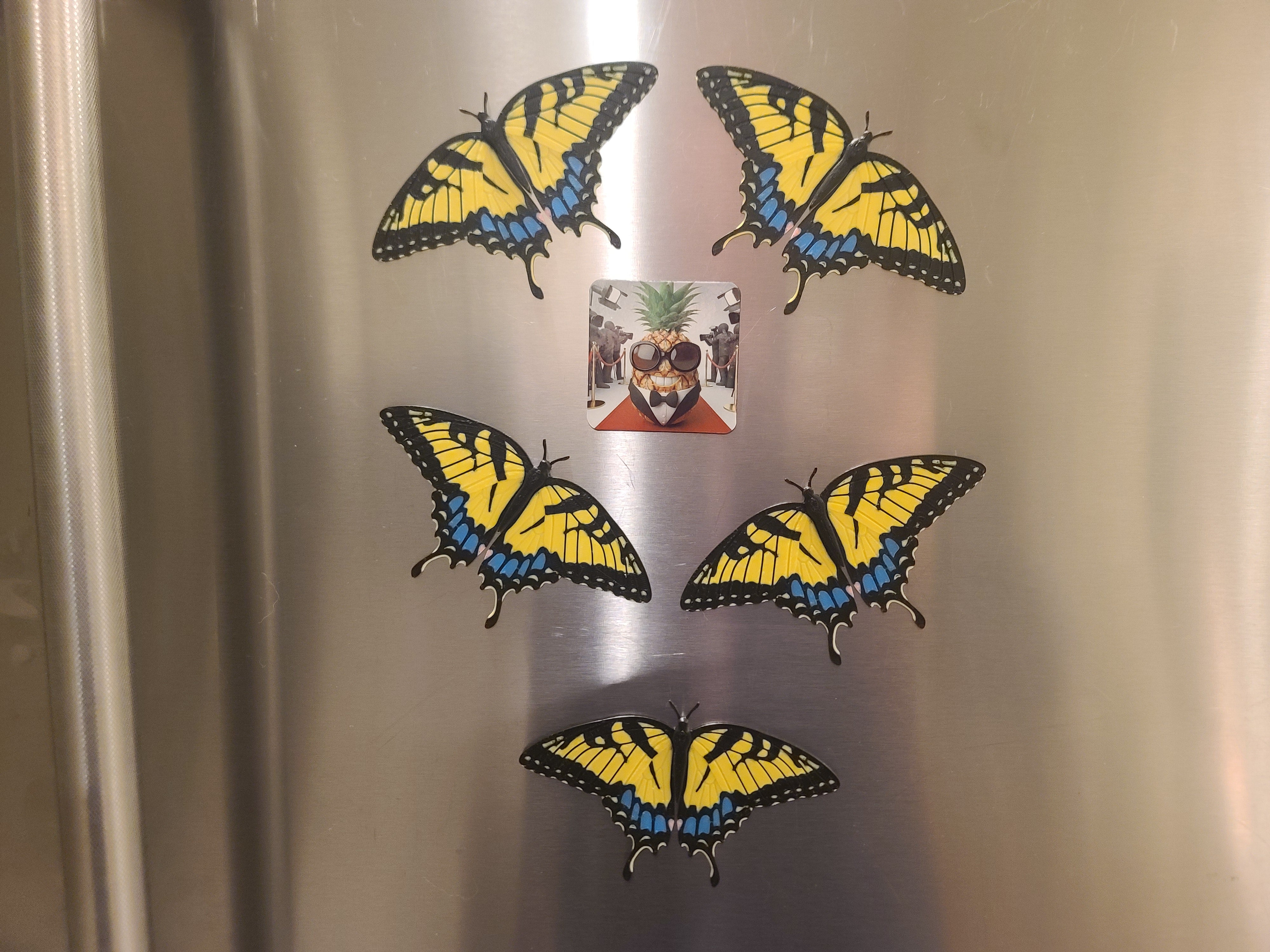 Butterfly Variety Pack