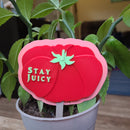 Tomato Toppers - G2 Compatible Toppers