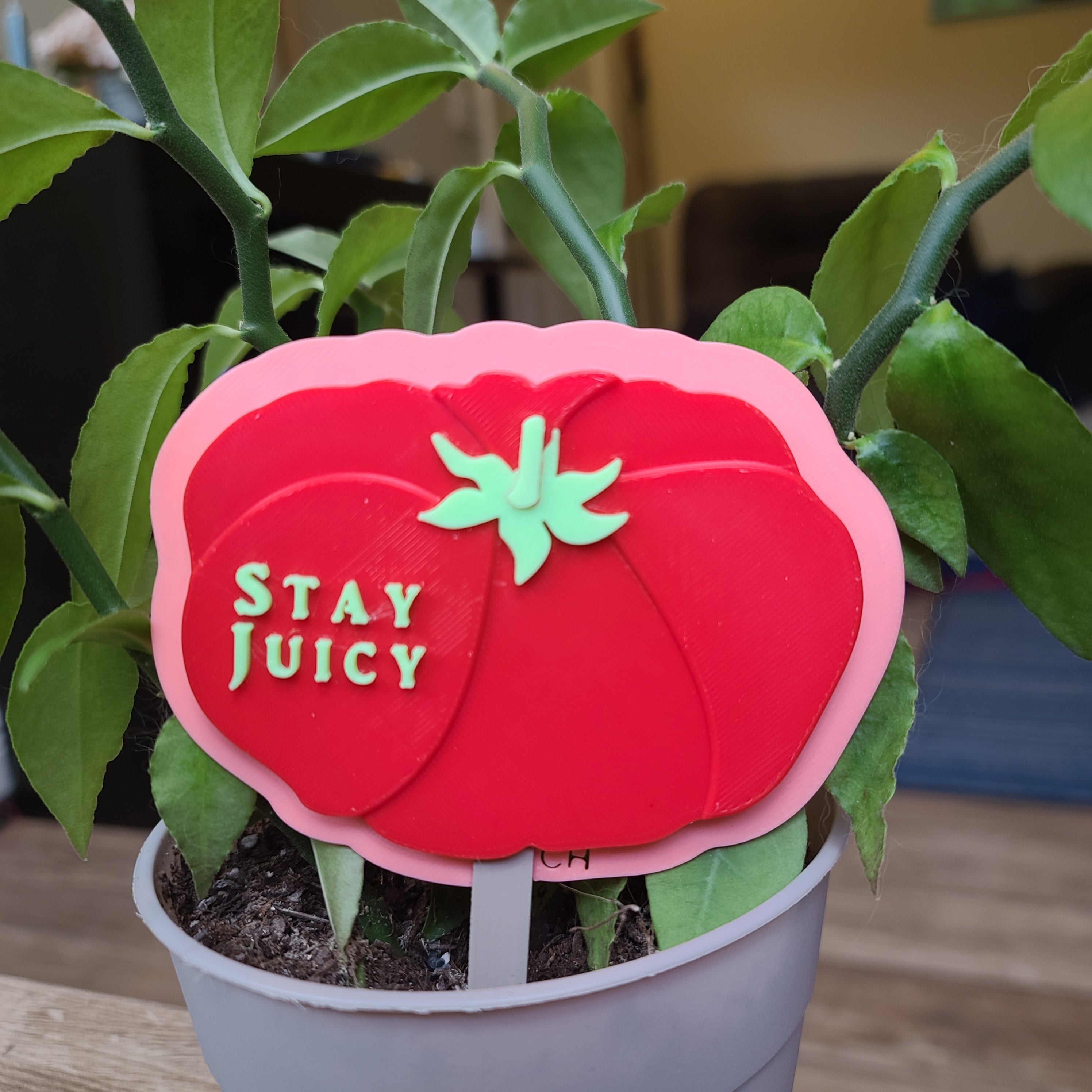 Tomato Toppers - G2 Compatible Toppers