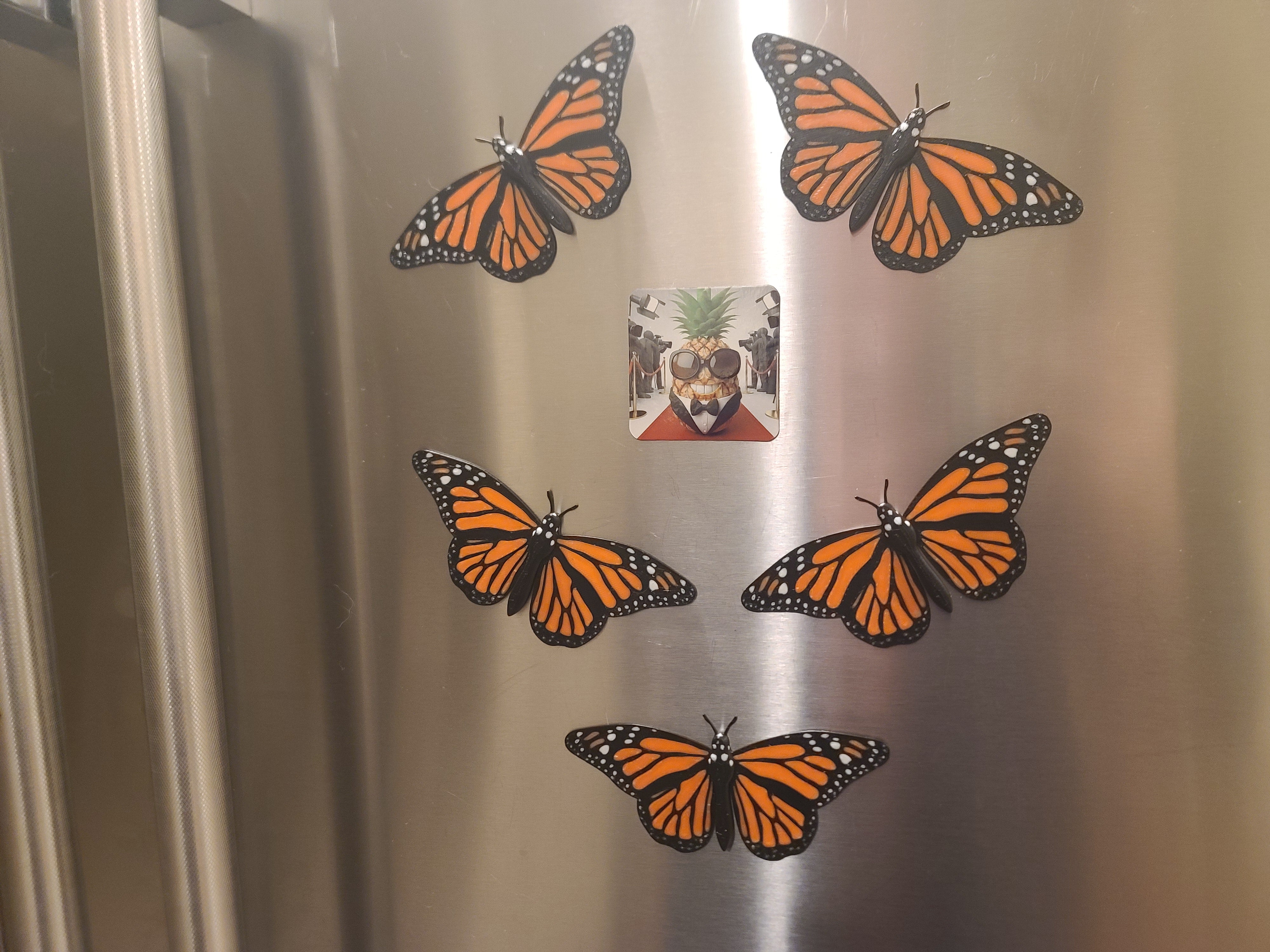 Butterfly Variety Pack