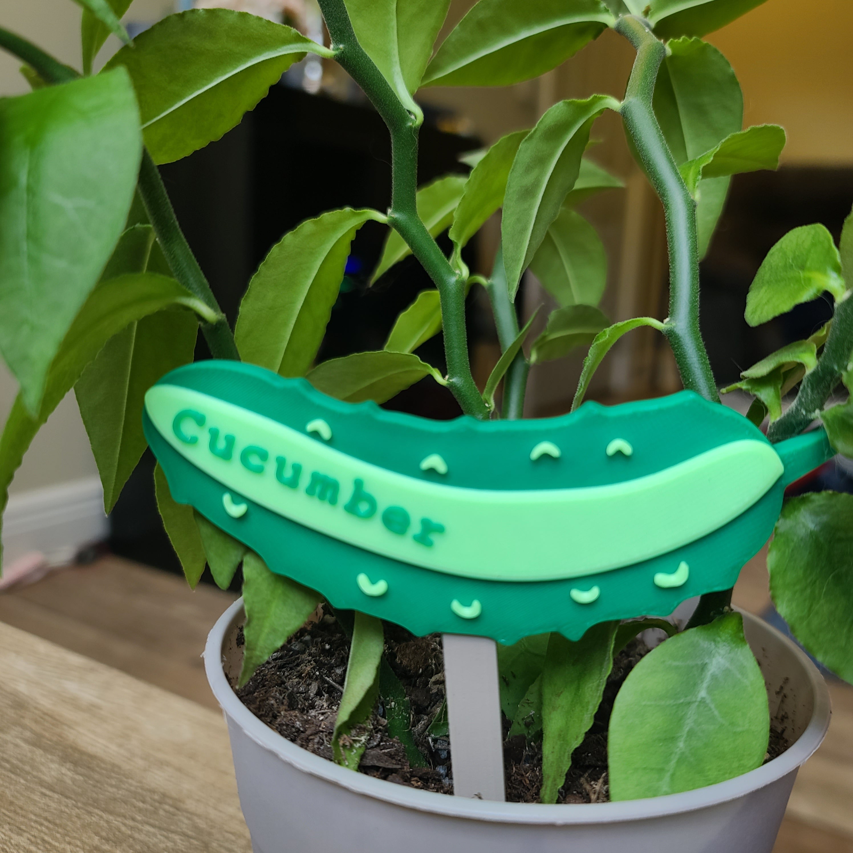 Cucumber Toppers - G2 Compatible Toppers
