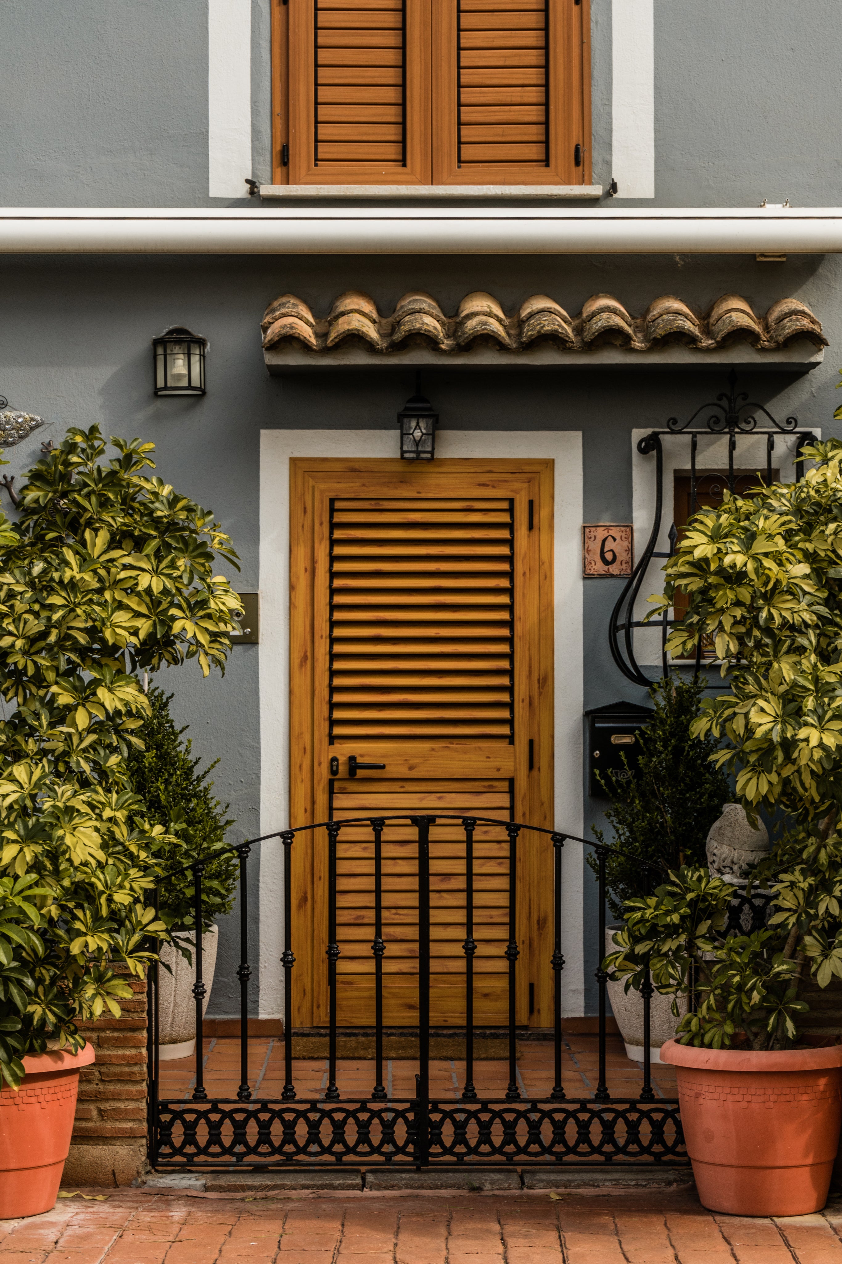 a gated entryway to a home, two trees on either side in terra cotta pots. door design resembles a large shutter.